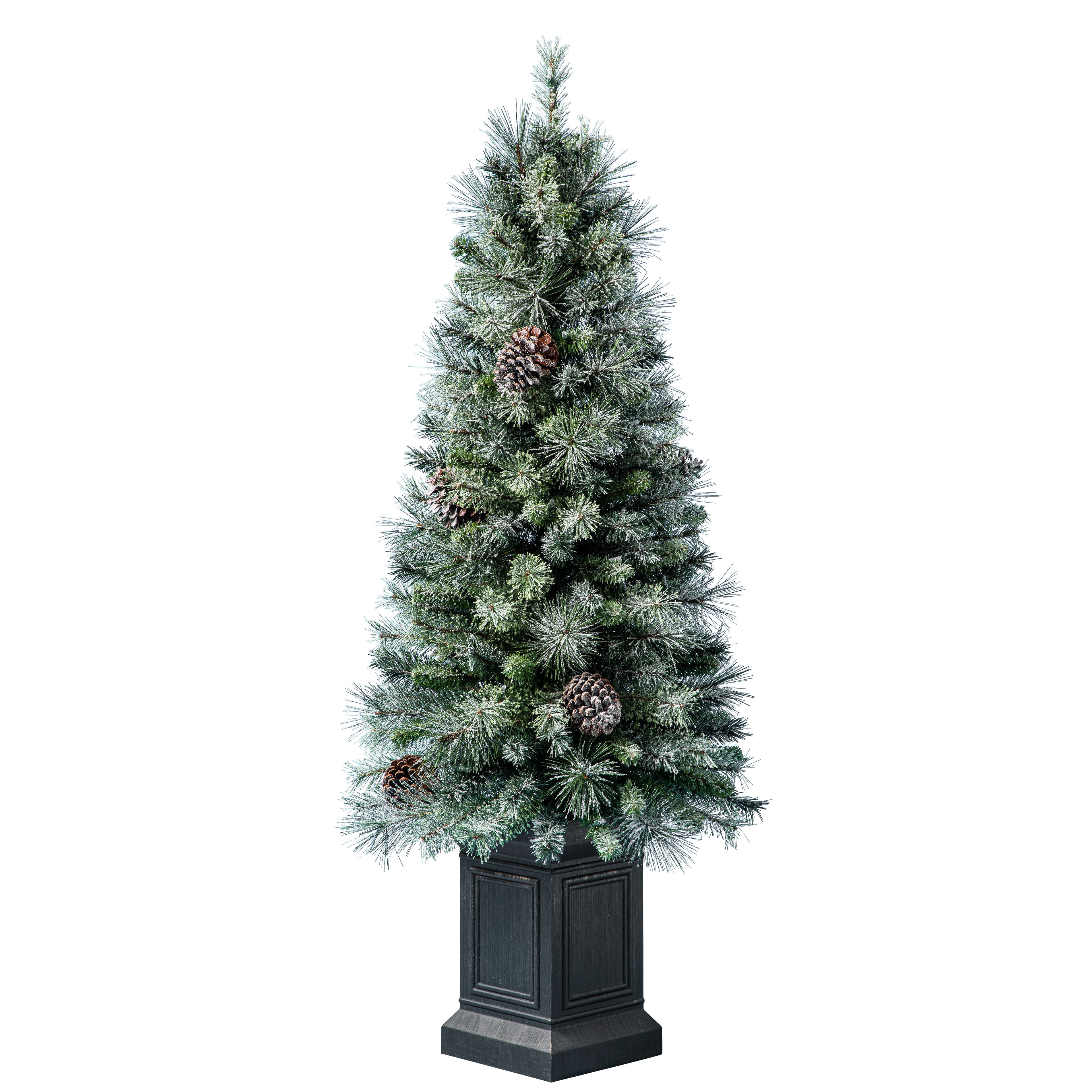 4.5ft. Pre-Lit Baywood Artificial Potted Christmas Tree, Clear Lights by Ashland&#xAE;