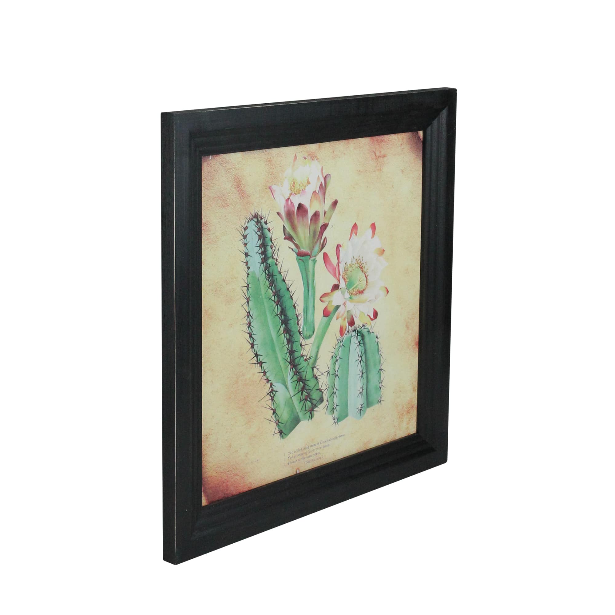 12" Green Cactus & Desert Plants Framed Wall Art