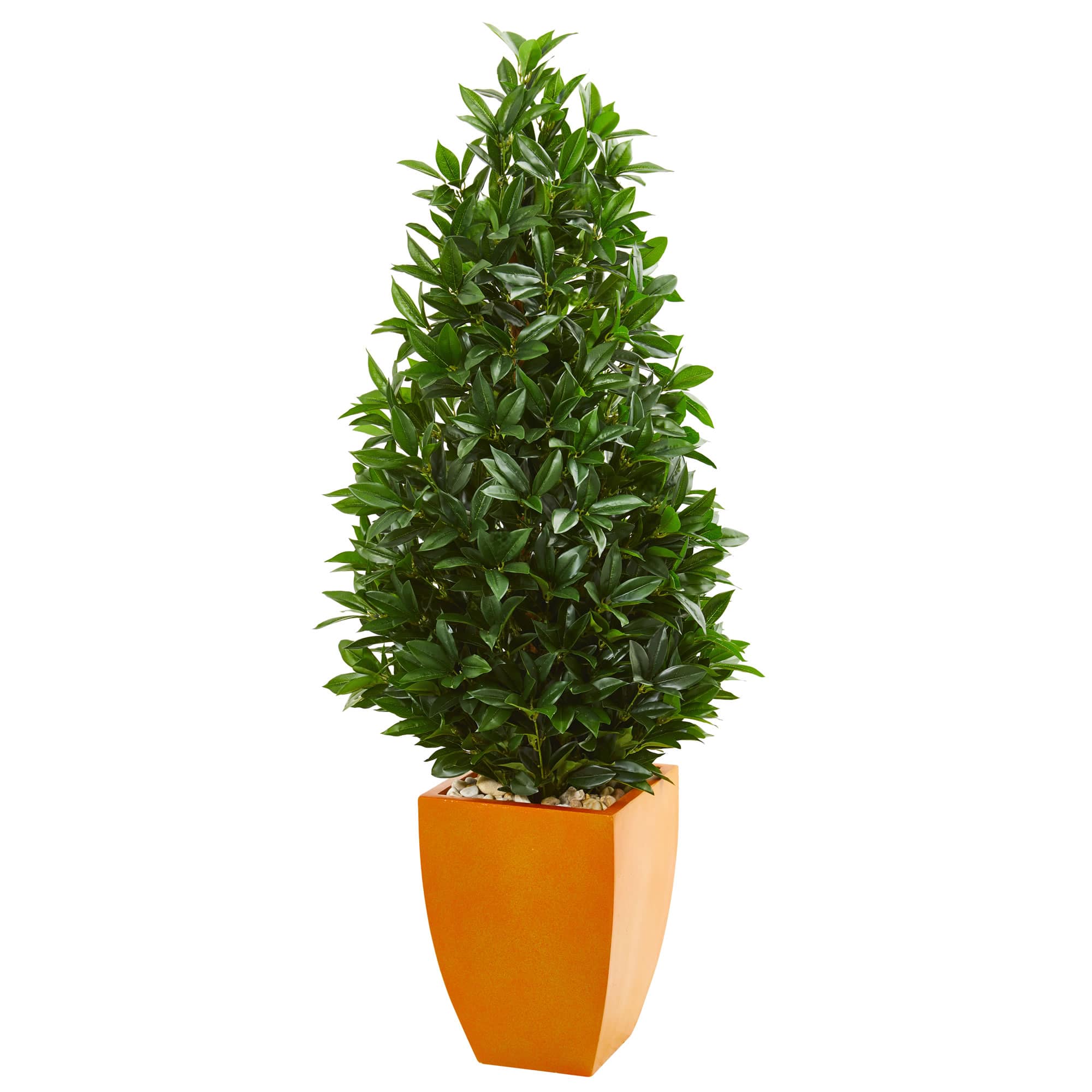 5ft. Bay Leaf Topiary Tree in Orange Planter