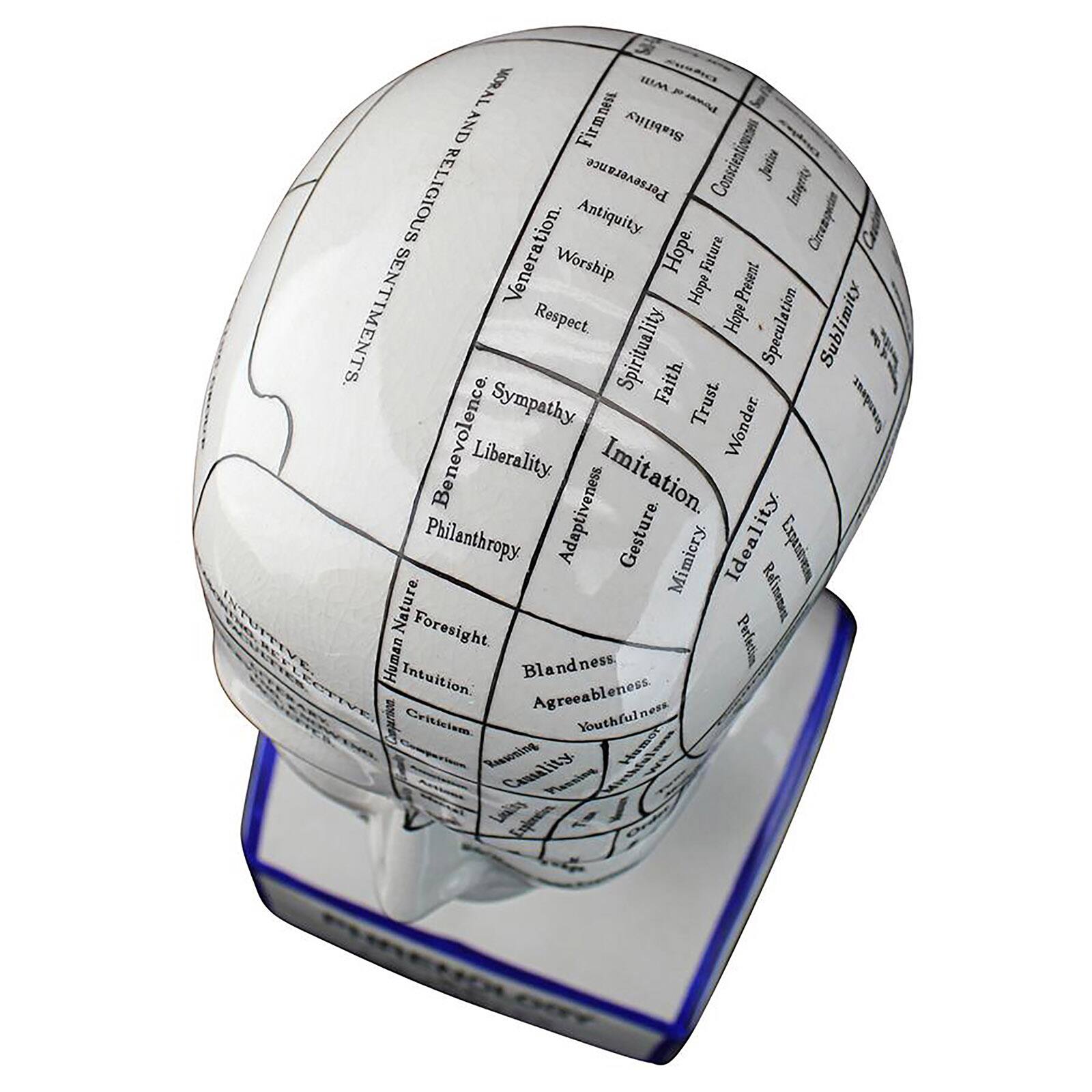 Design Toscano Porcelain Phrenology Head Statue