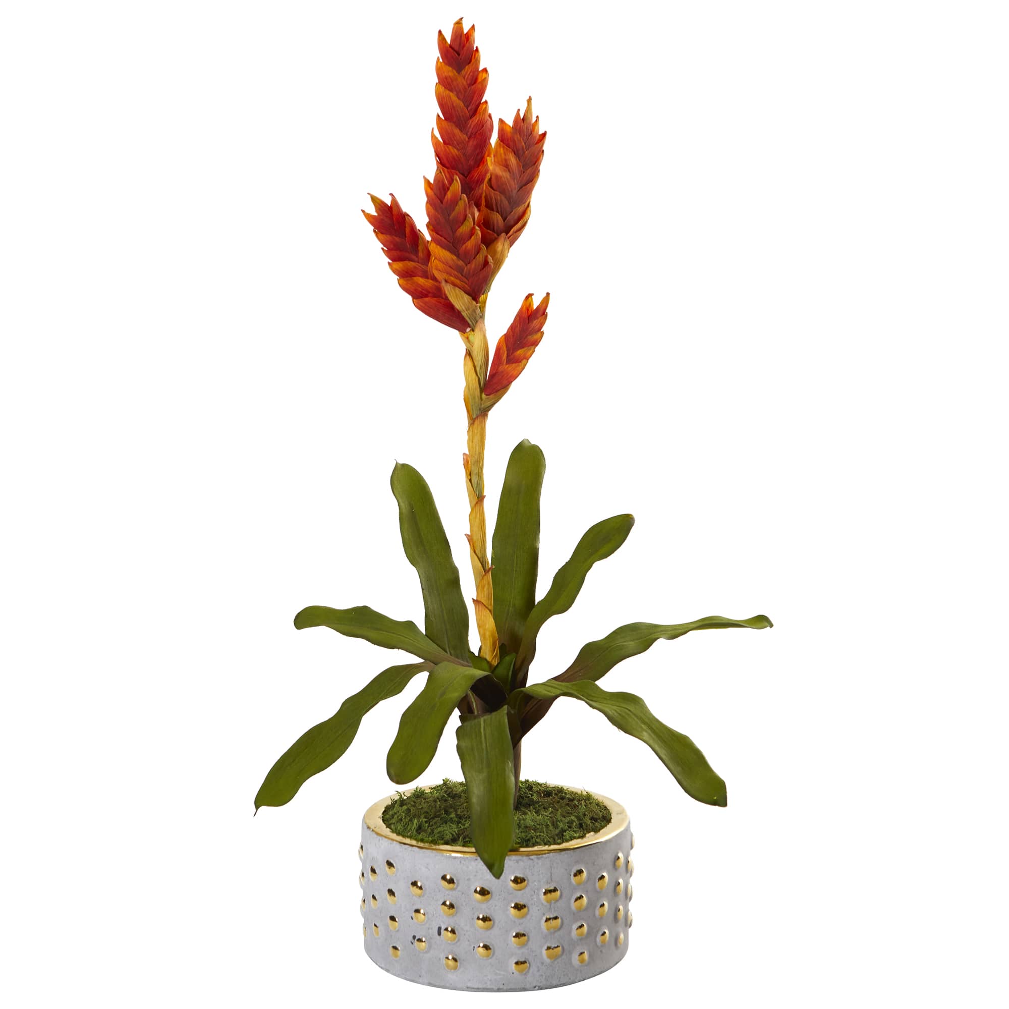 2ft. Orange Tropical Bromeliad Artificial Plant in Bowl with Gold Trimming