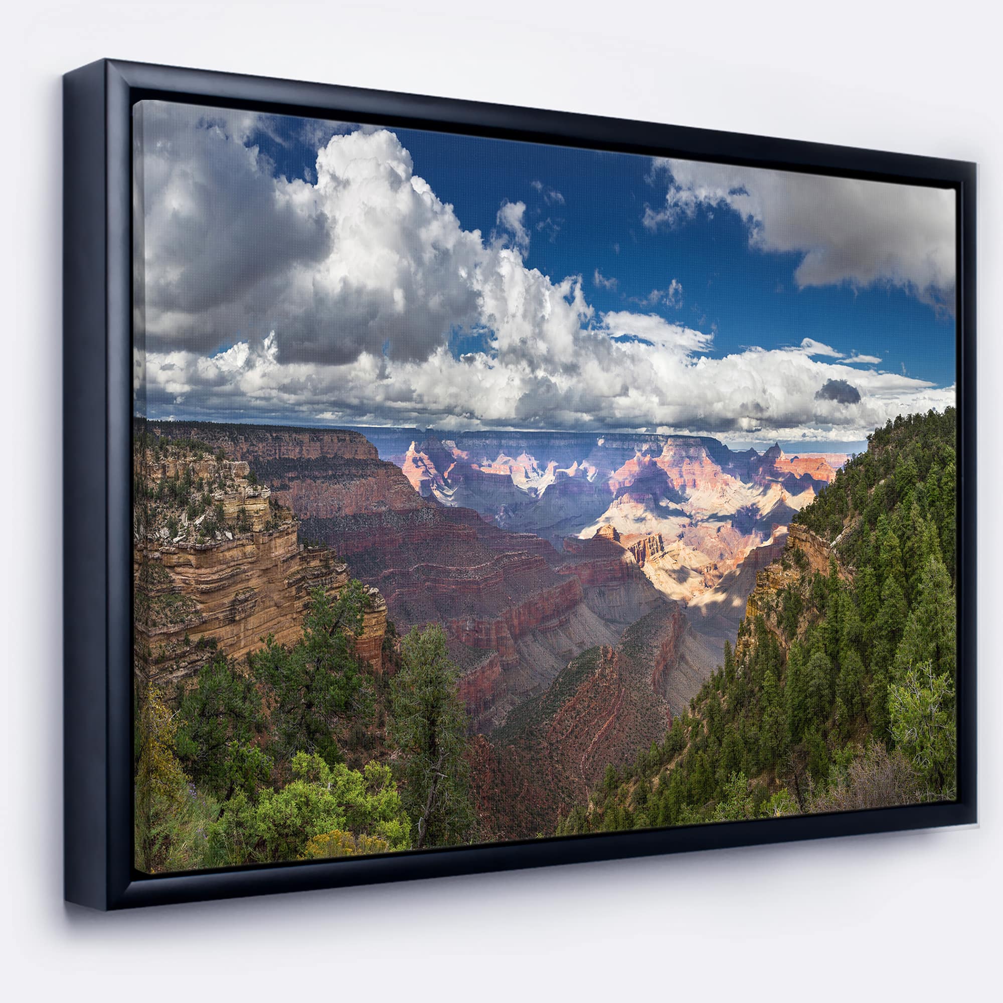 Designart - US Grand Canyon in Colorado River - Landscape Canvas Art Print in Black Frame