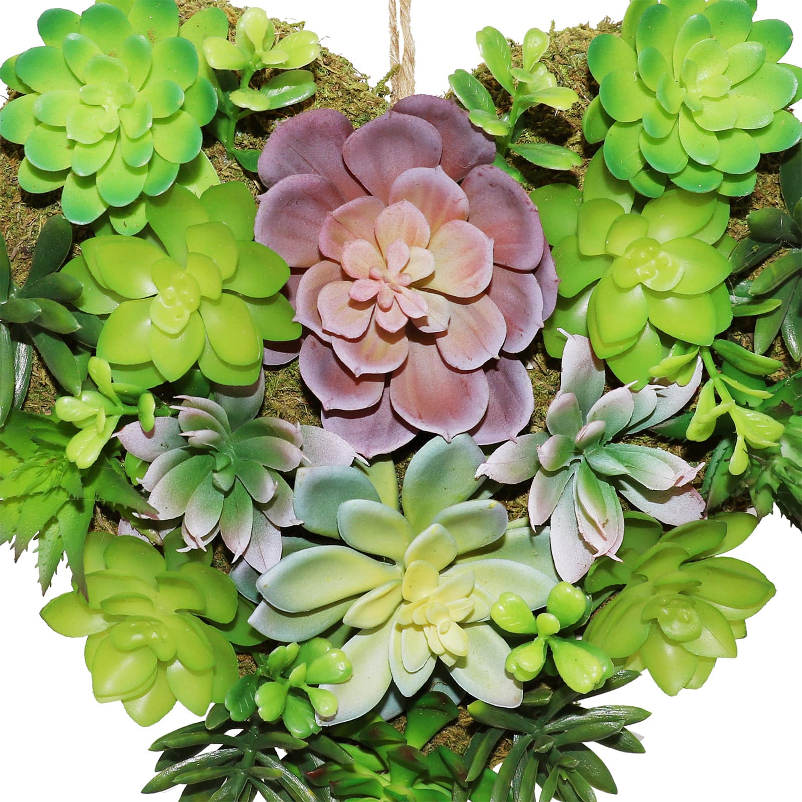 10&#x22; Heart Shaped Succulent Wreath by Ashland&#xAE;