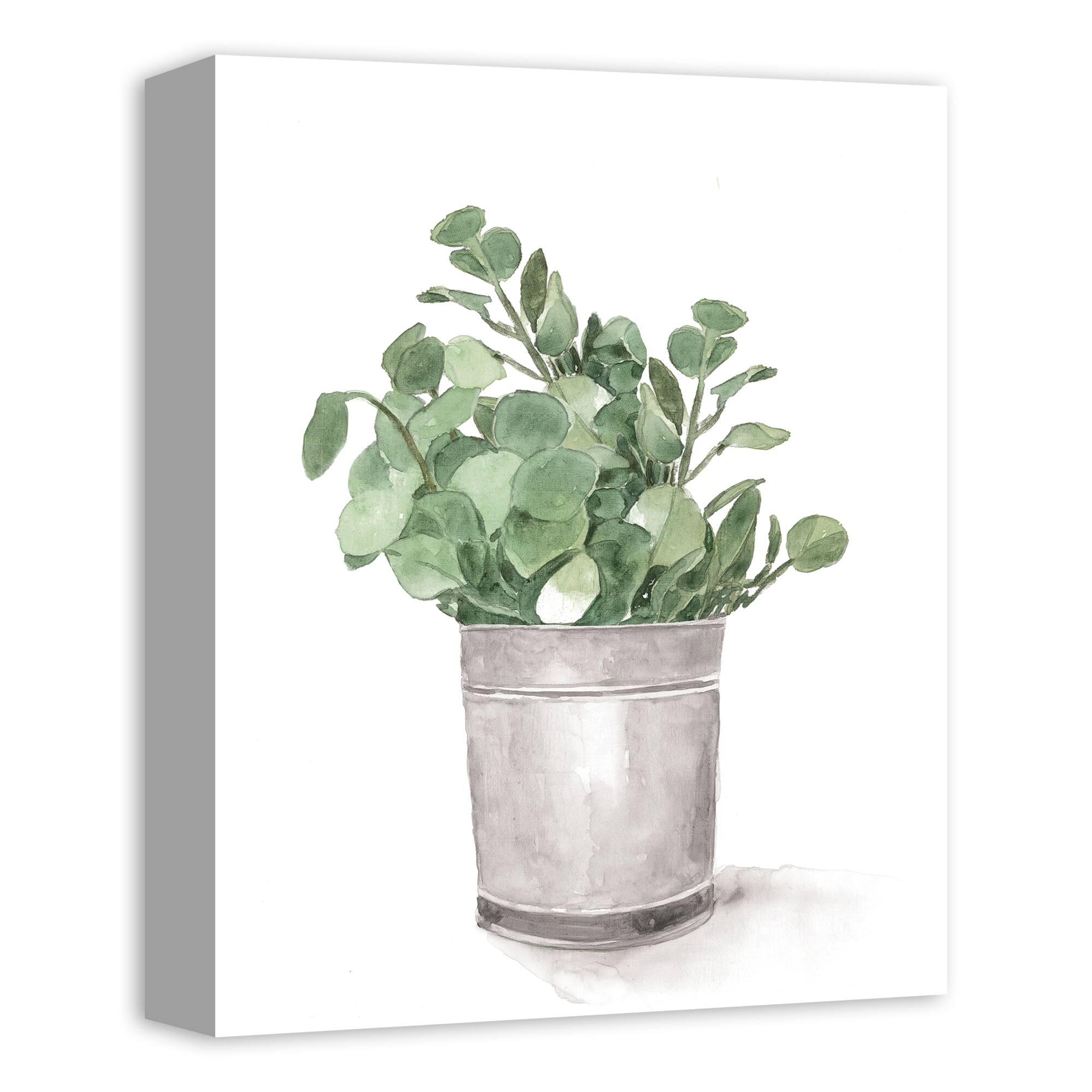 Bucket of Eucalyptus 11&#x22; x 14&#x22; Canvas Wall Art