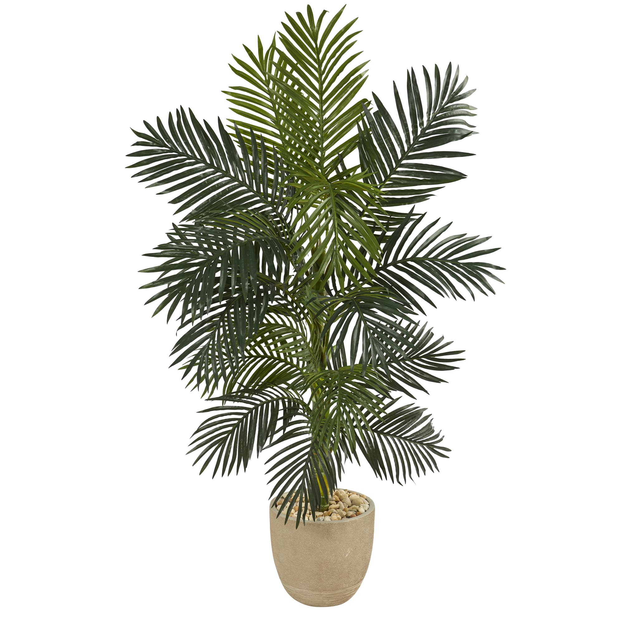 5ft. Golden Cane Palm Tree in Sandstone Planter
