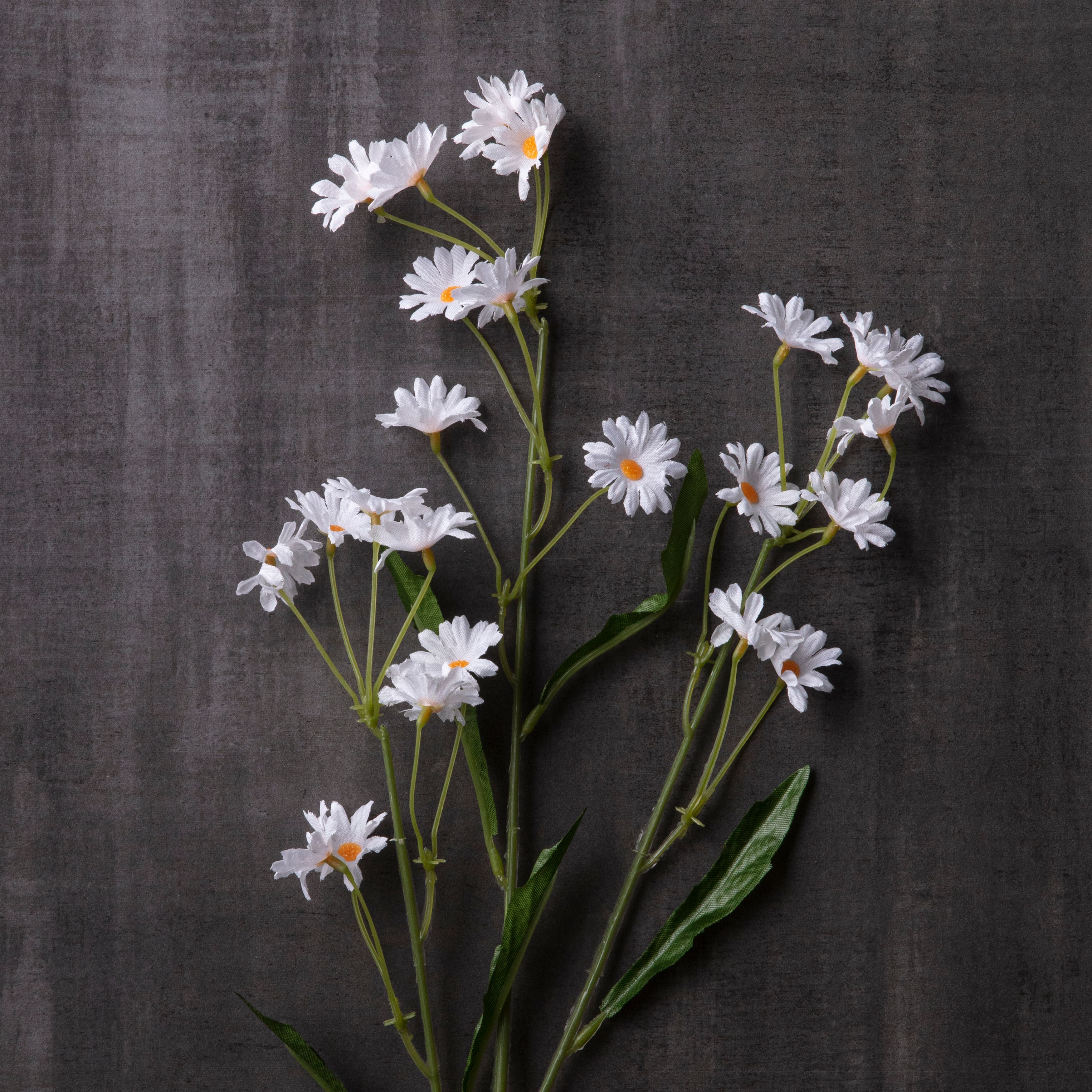 White Mini Daisy Spray by Ashland®