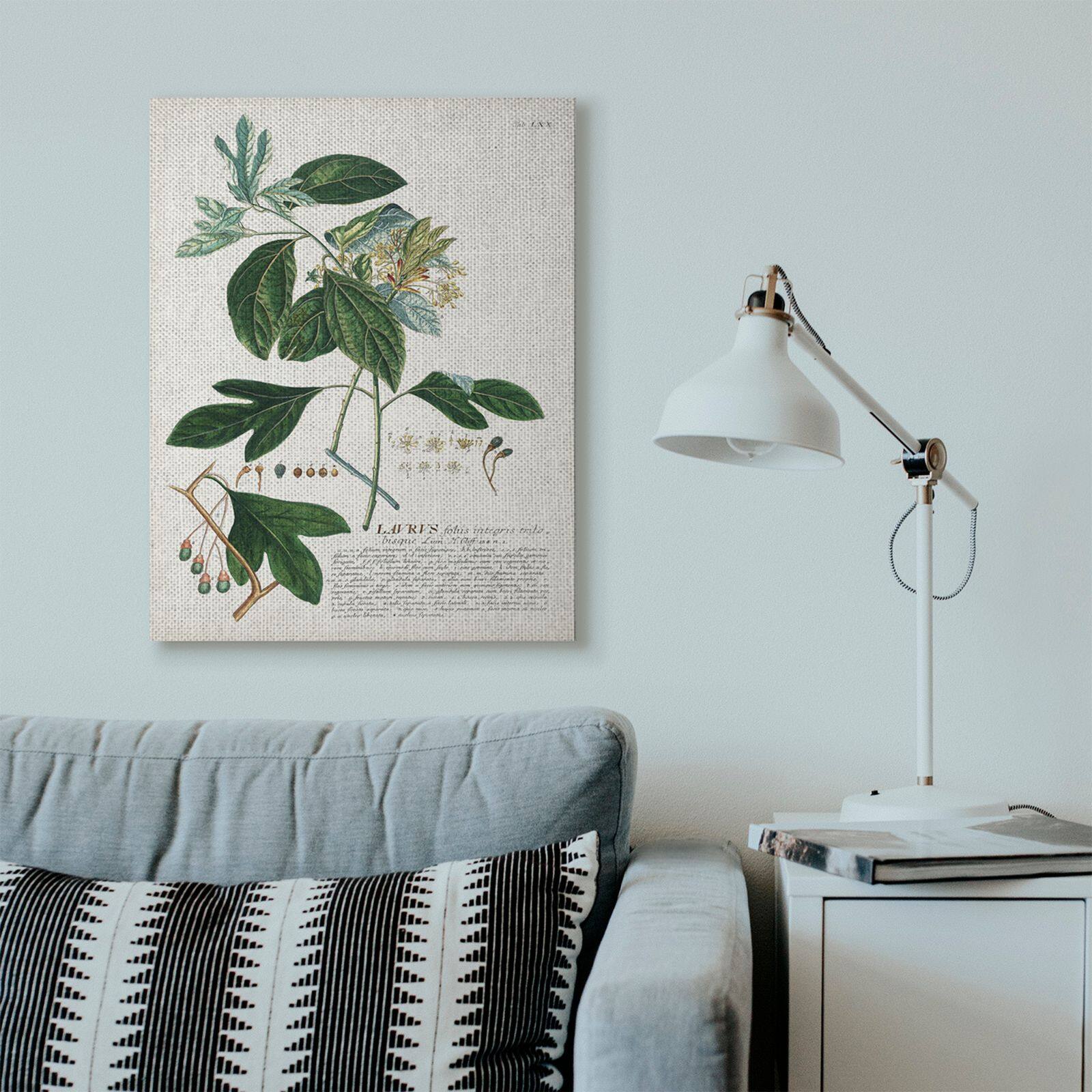 Stupell Industries Botanical Green Plant Illustration Wall Art