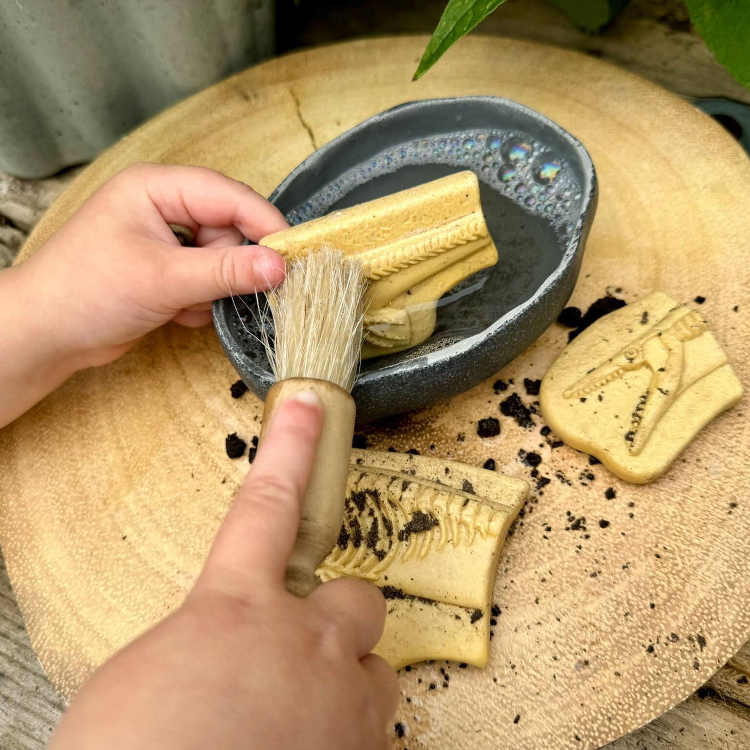 Yellow Door Dig & Discover Pliosaur & Stegosaurus Dinosaur Skeletons Set