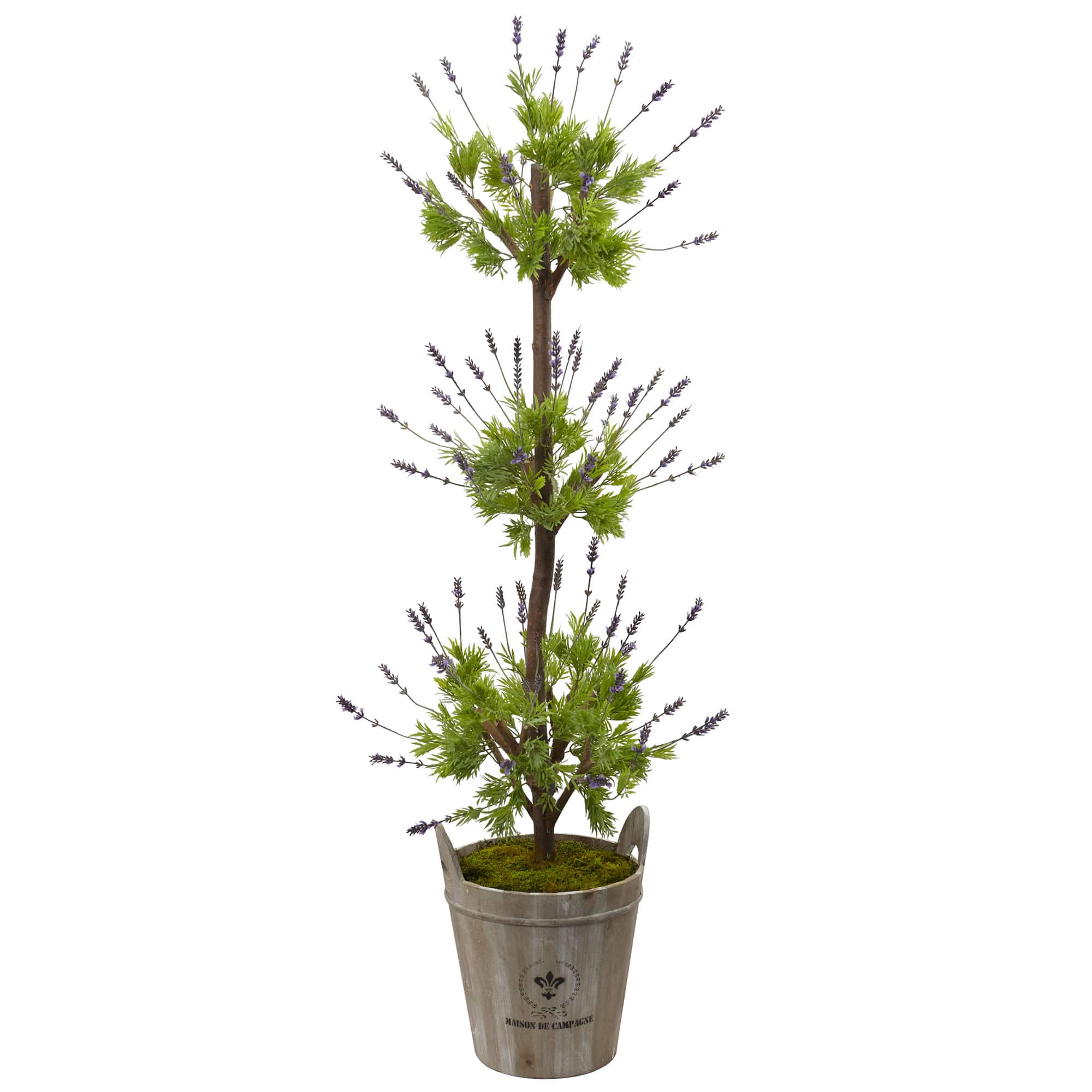 4ft. Lavender Topiary with European Barrel Planter