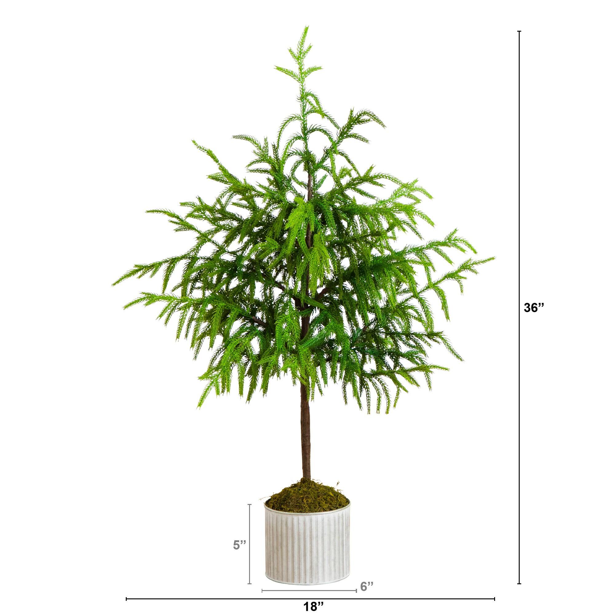 3ft. Unlit Real Touch Norfolk Island Pine Artificial Christmas Tree in Metal Planter