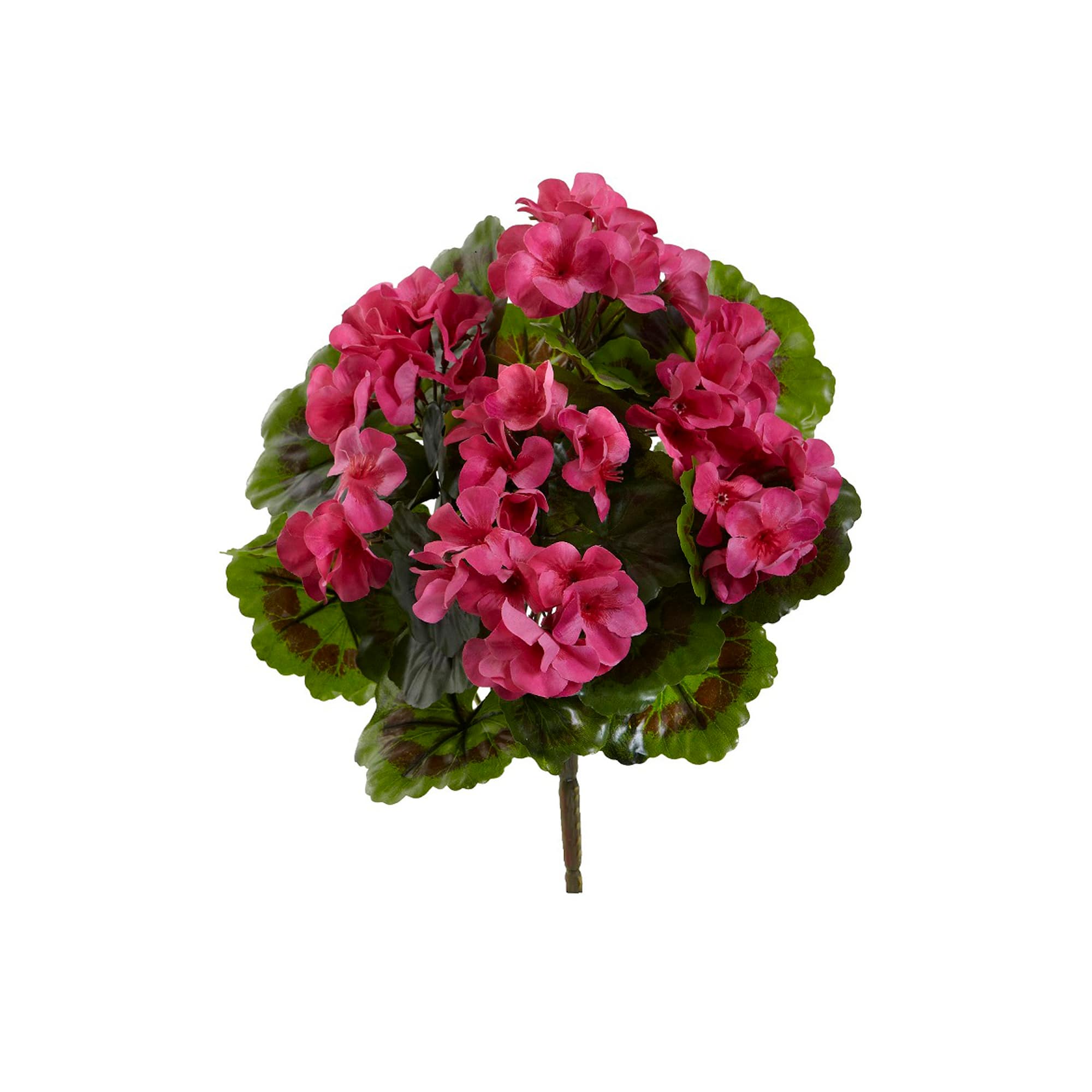 Pink Geranium Bush, 4ct. 