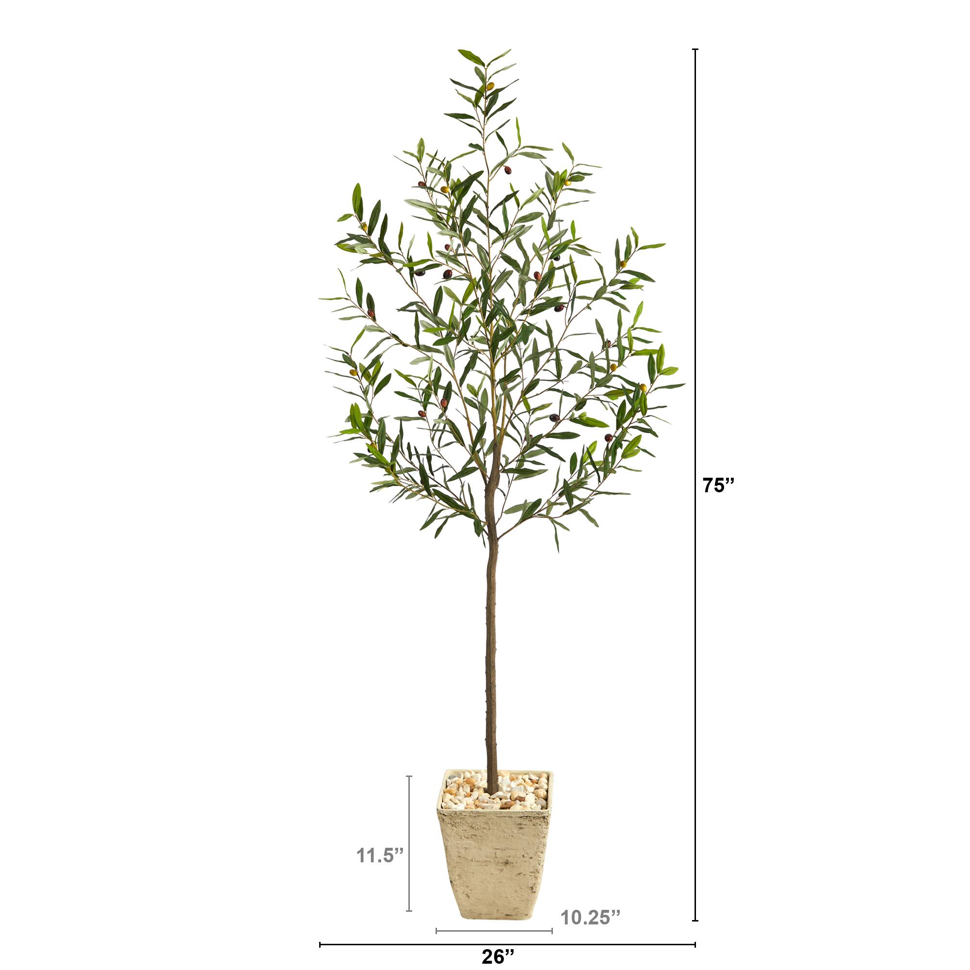 6ft. Olive Artificial Tree in Country White Planter