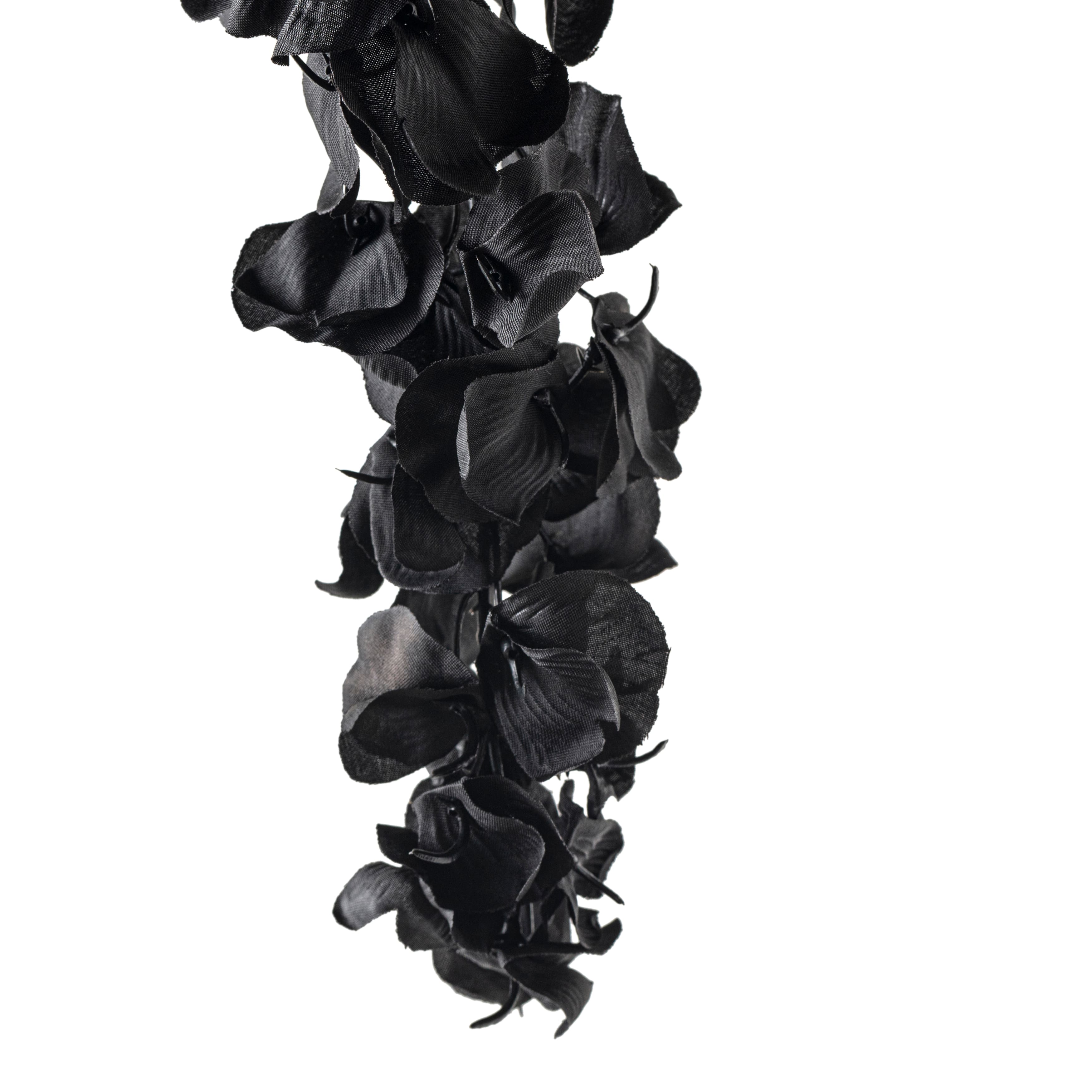 Tige de glycine noire d&#x27;Ashland