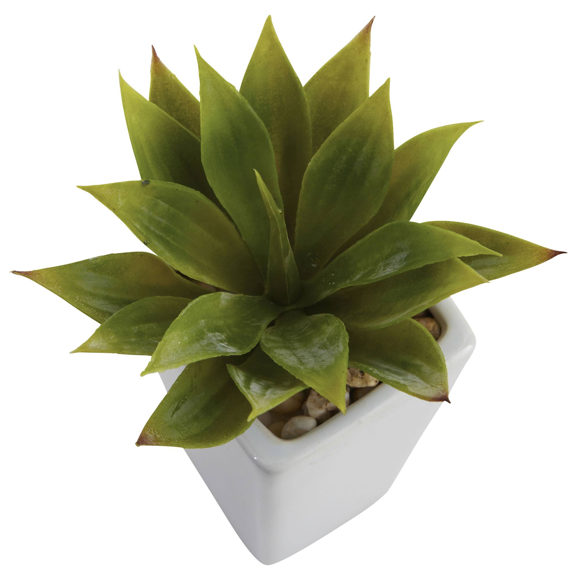 9" Mini Agave Arrangement in White Planter, 3ct.