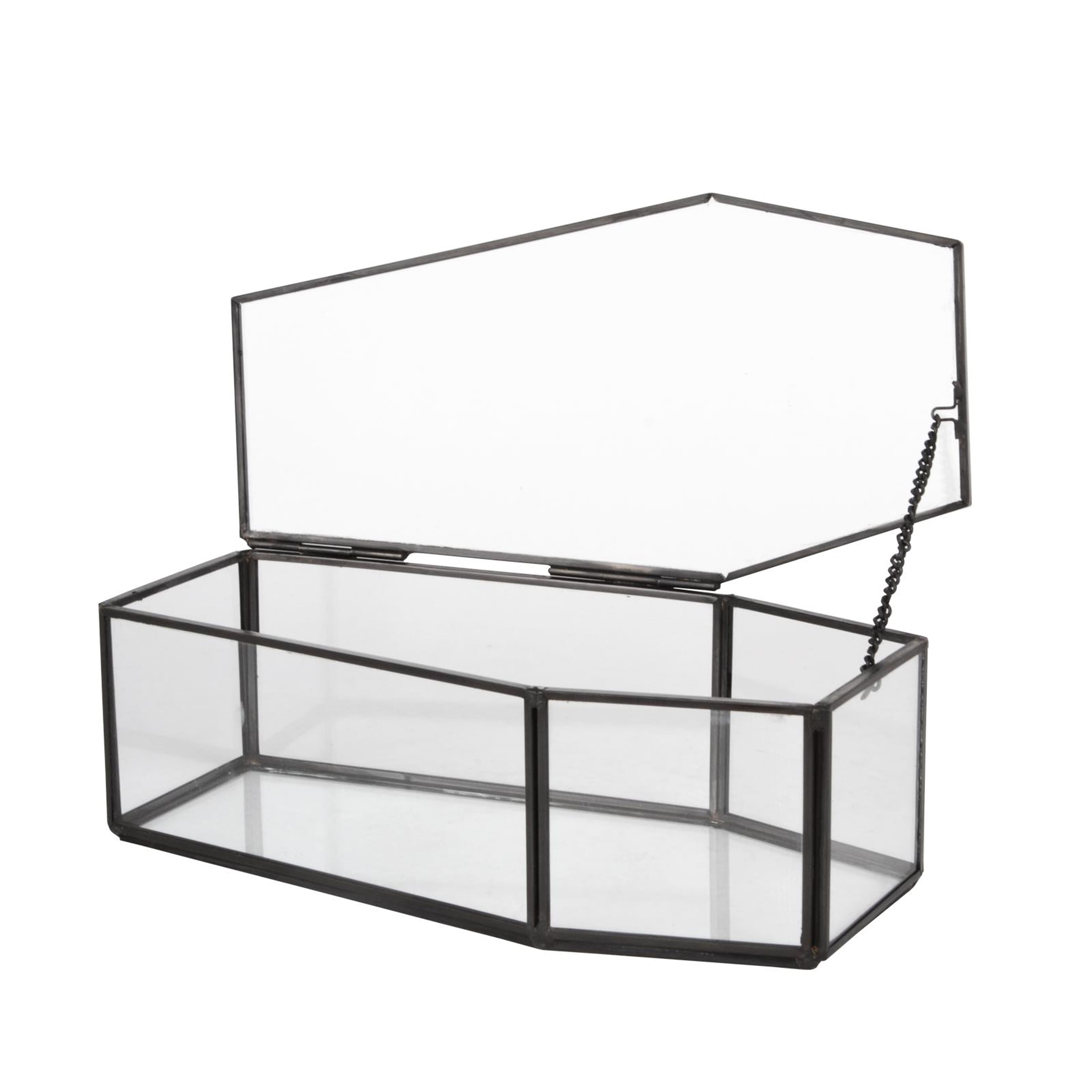 Coffin Terrarium by Ashland&#xAE;