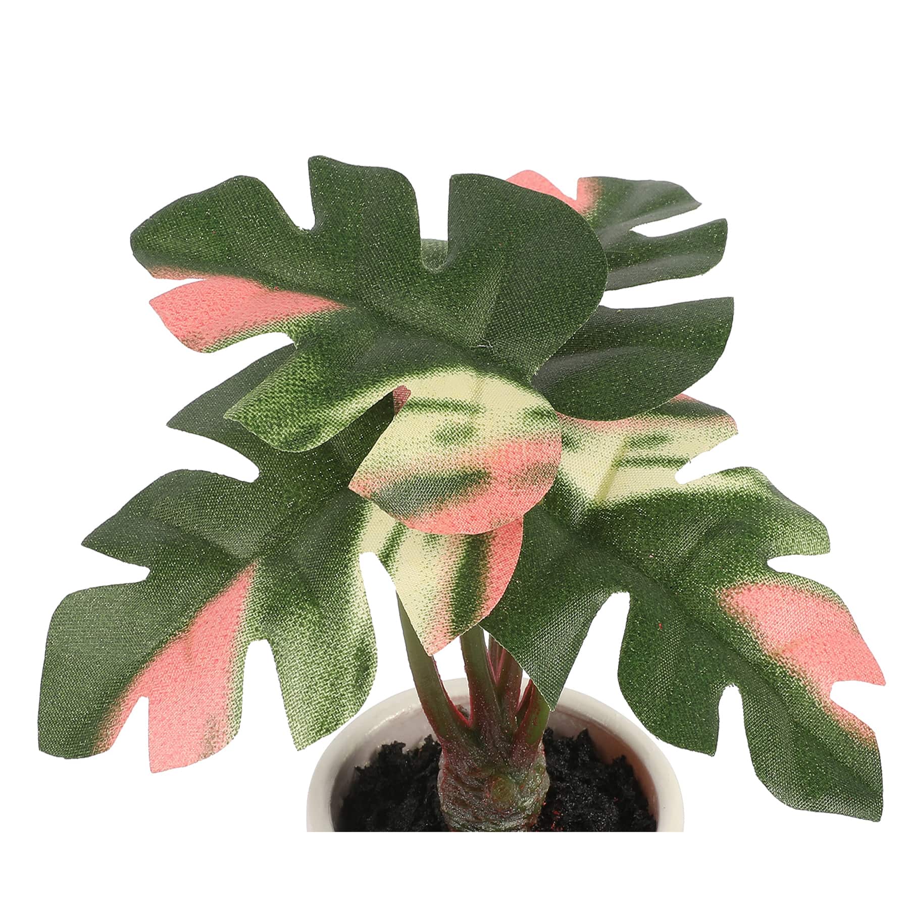 4.5&#x22; Green &#x26; Pink Potted Monstera Plant by Ashland&#xAE;
