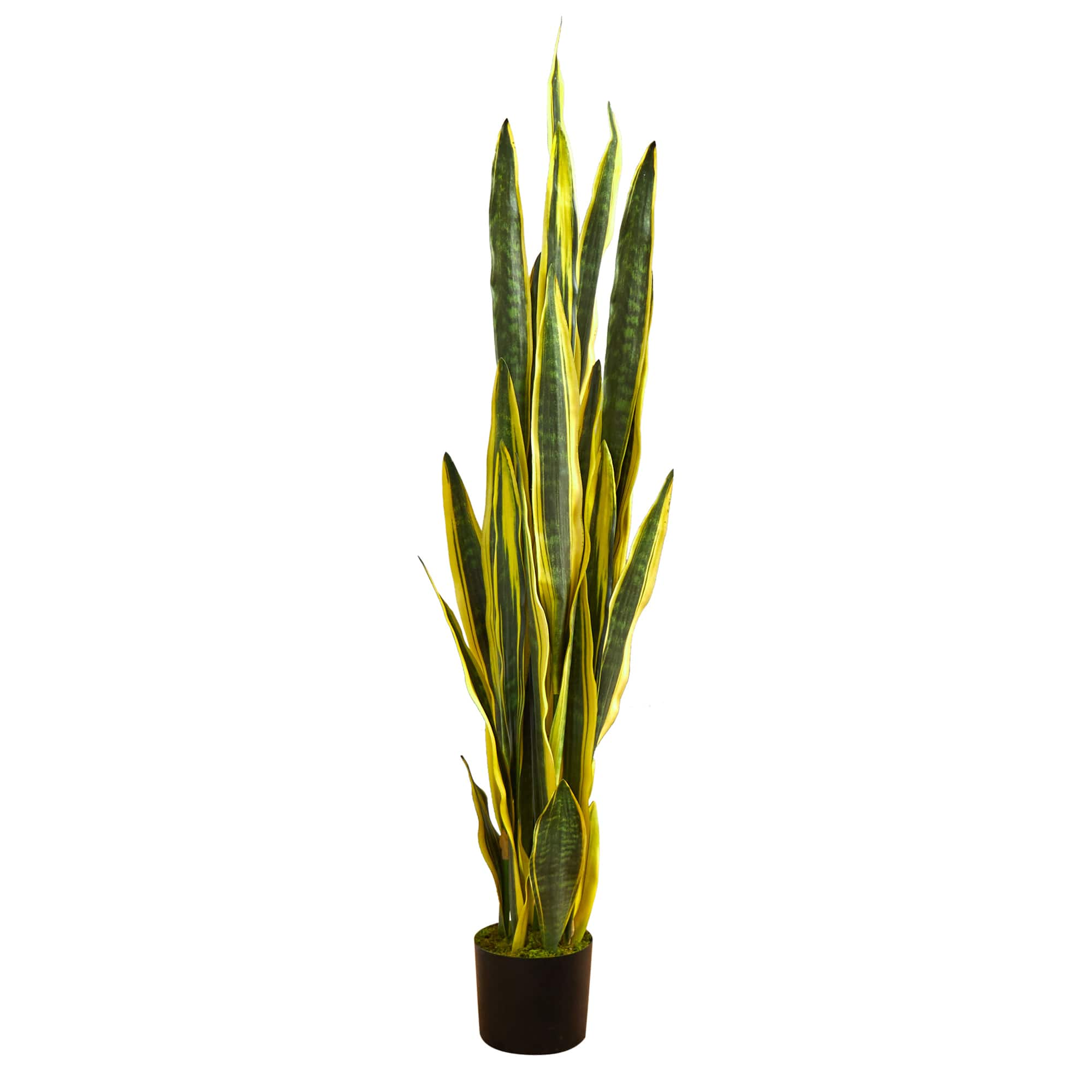  Artificial Snake Plant