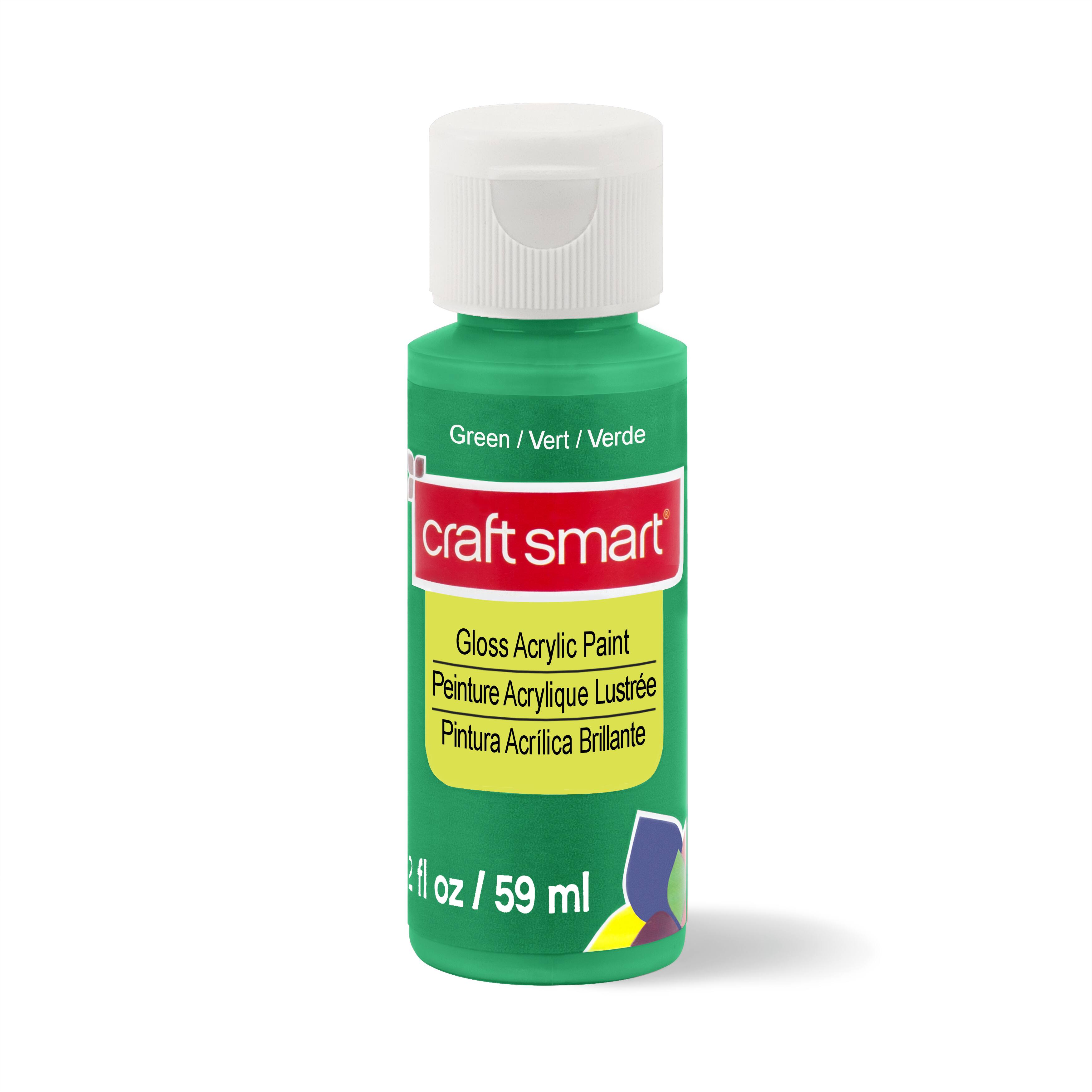 12 Pack: Gloss Acrylic Paint by Craft Smart®, 2oz.