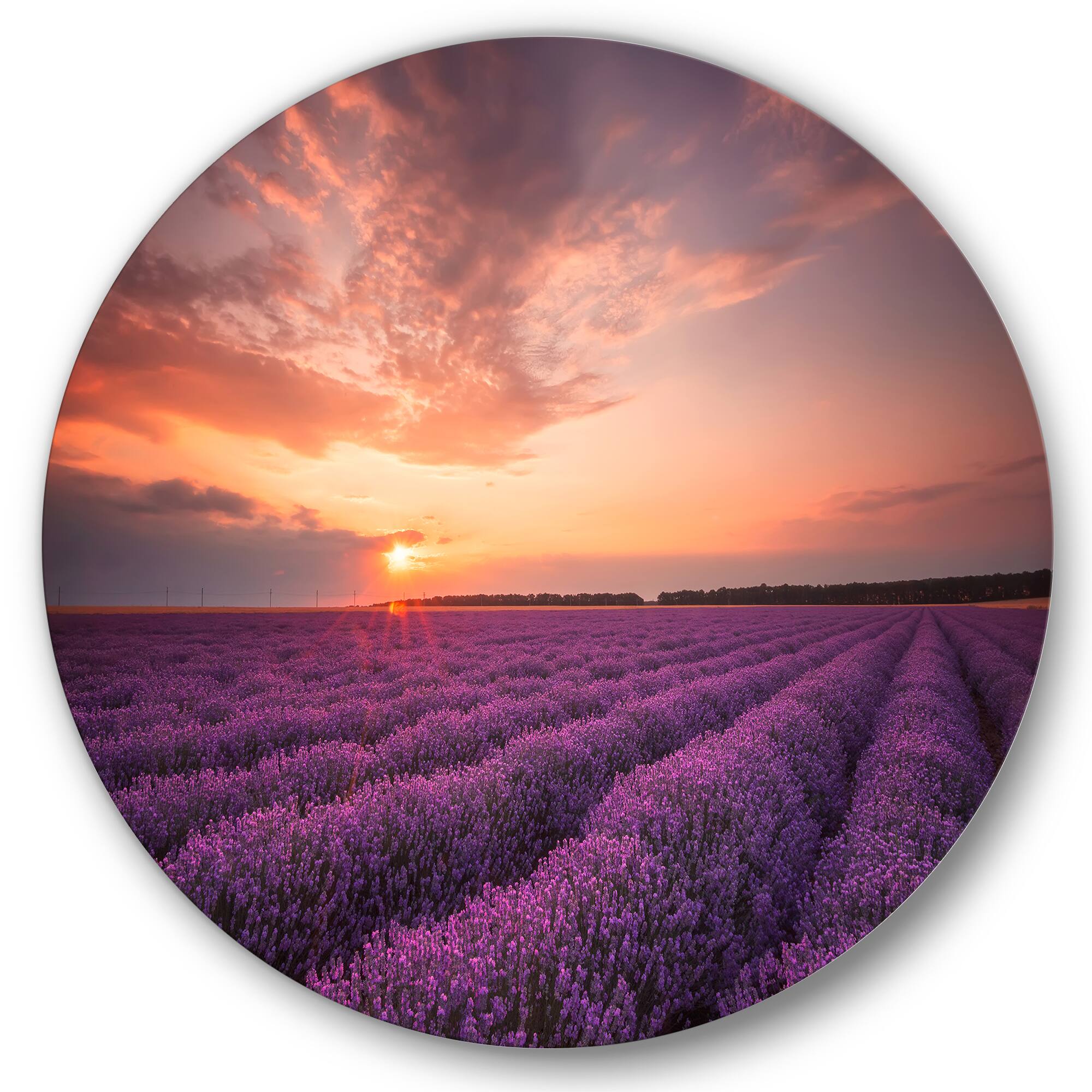 Designart - Sunrise &#x26; Dramatic Clouds Over Lavender Field XII - Farmhouse Metal Circle Wall Art