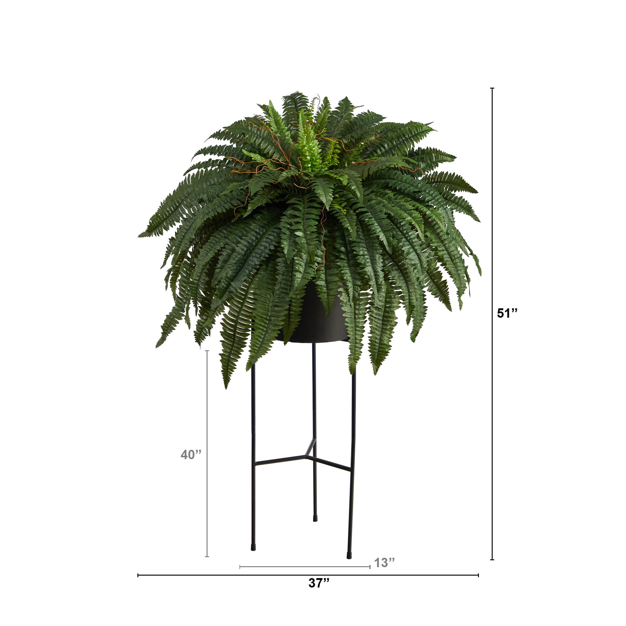 51" Boston Fern Plant in Black Planter with Stand