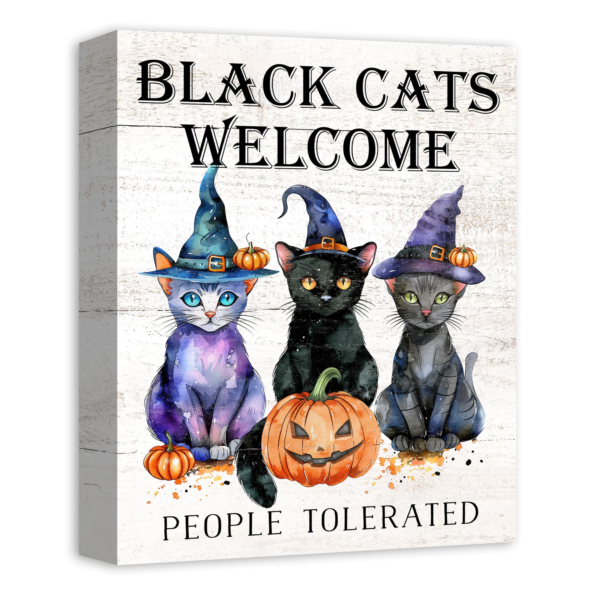 Black Cats Welcome 16" x 20" Canvas Wall Art