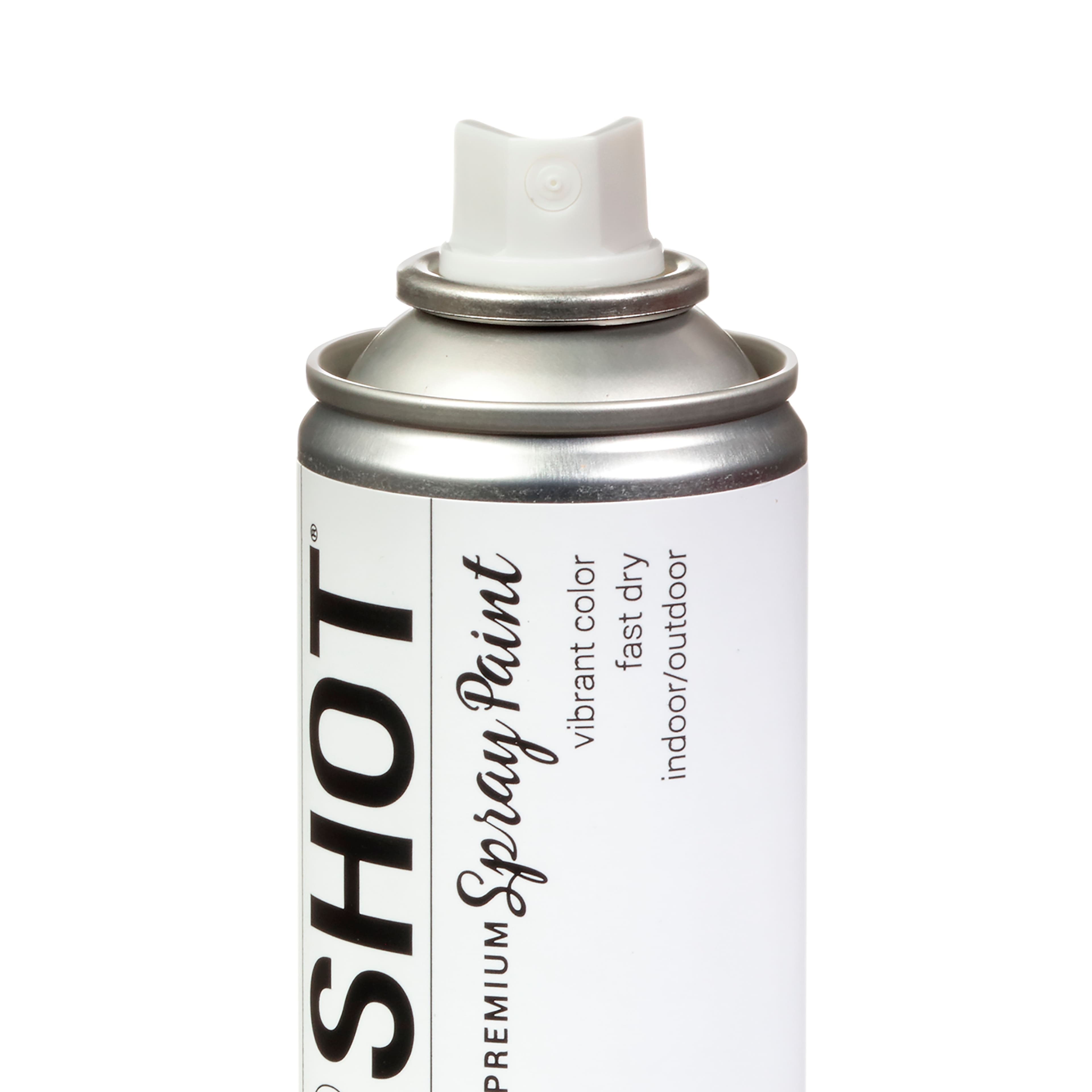 COLORSHOT&#xAE; Premium Satin Spray Paint