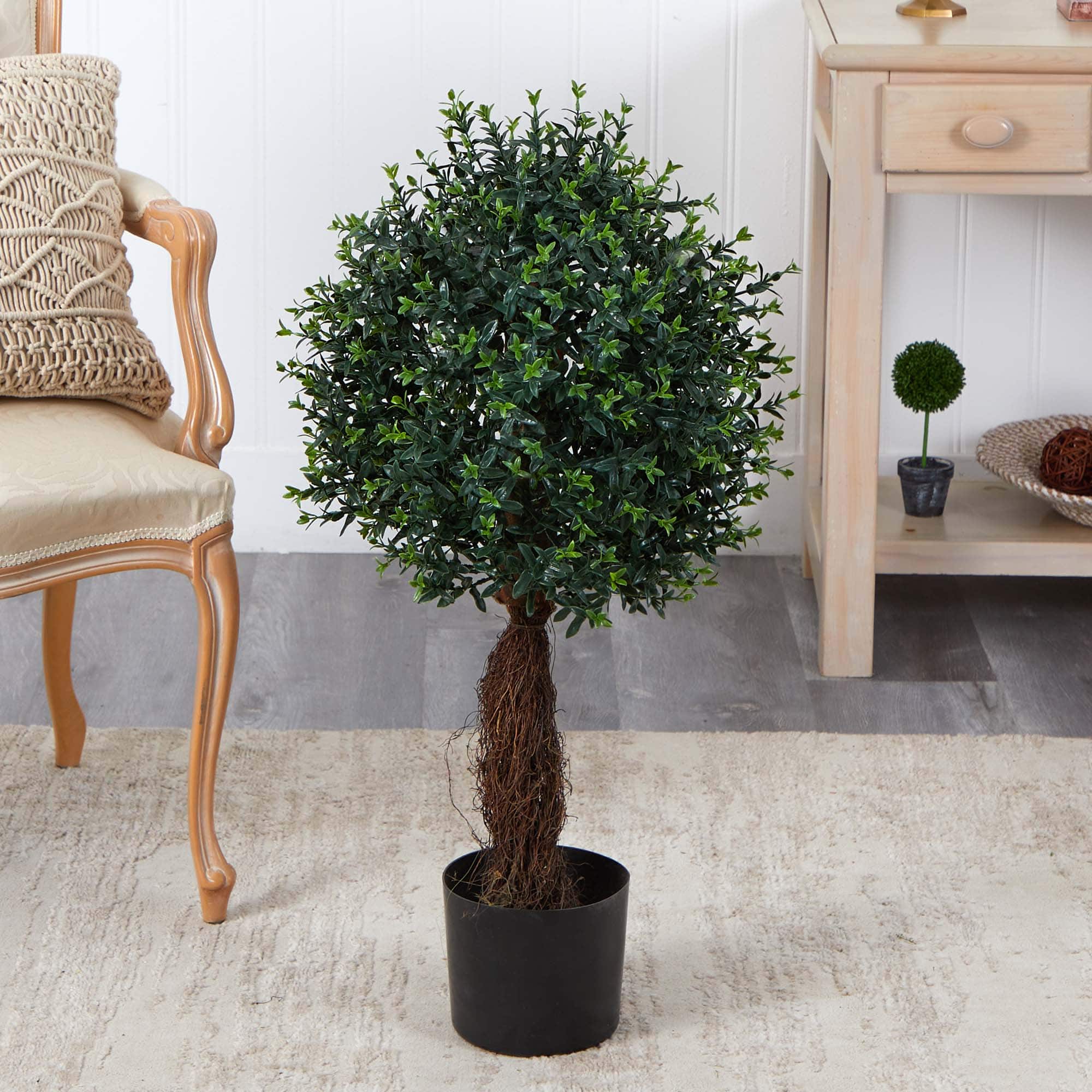 3ft. Potted Ixora Topiary