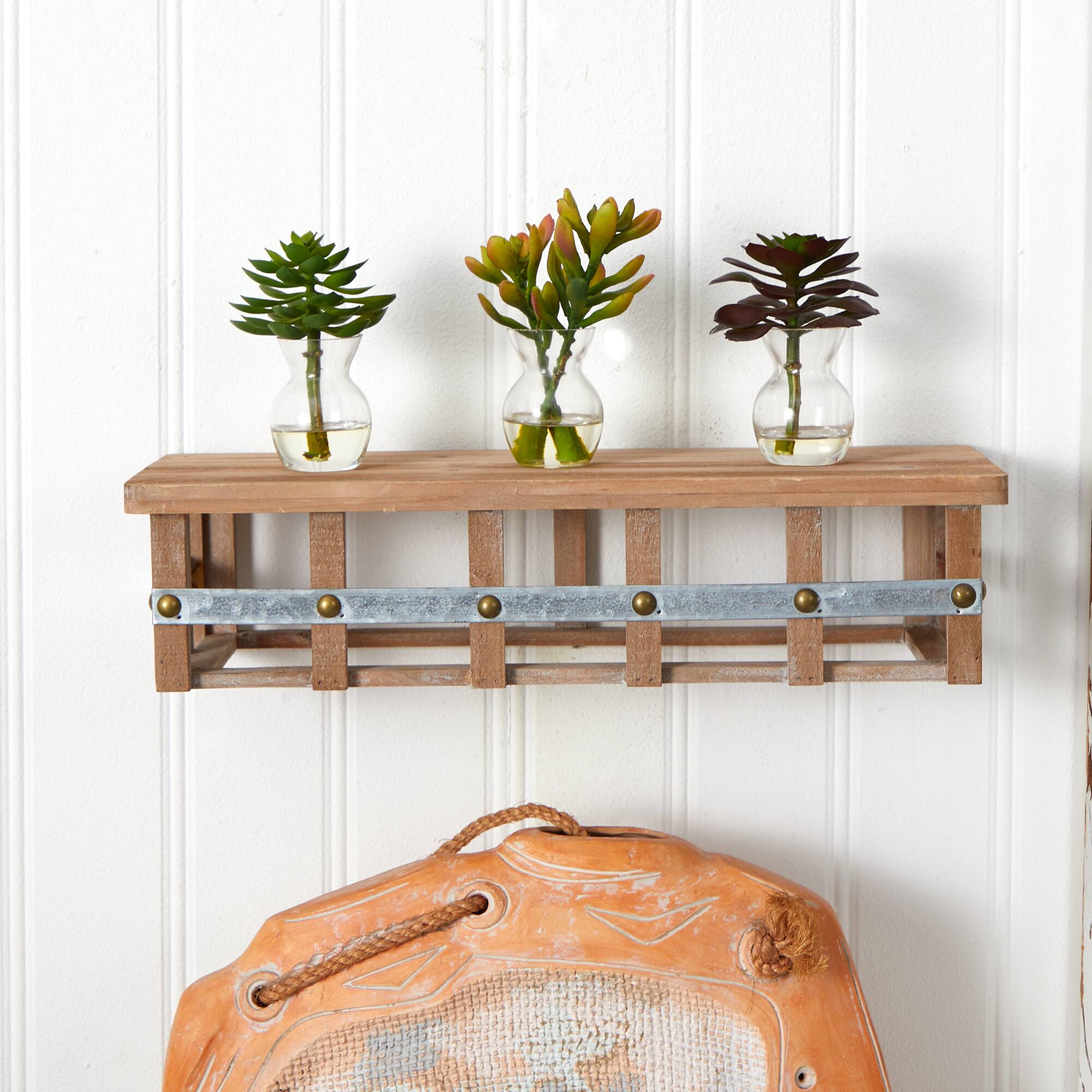 Succulent Arrangements in Vases 3ct.