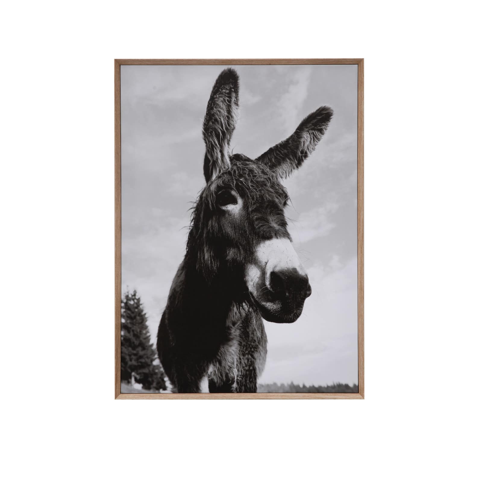 Hello Honey® Wood & Canvas Donkey Wall Plaque
