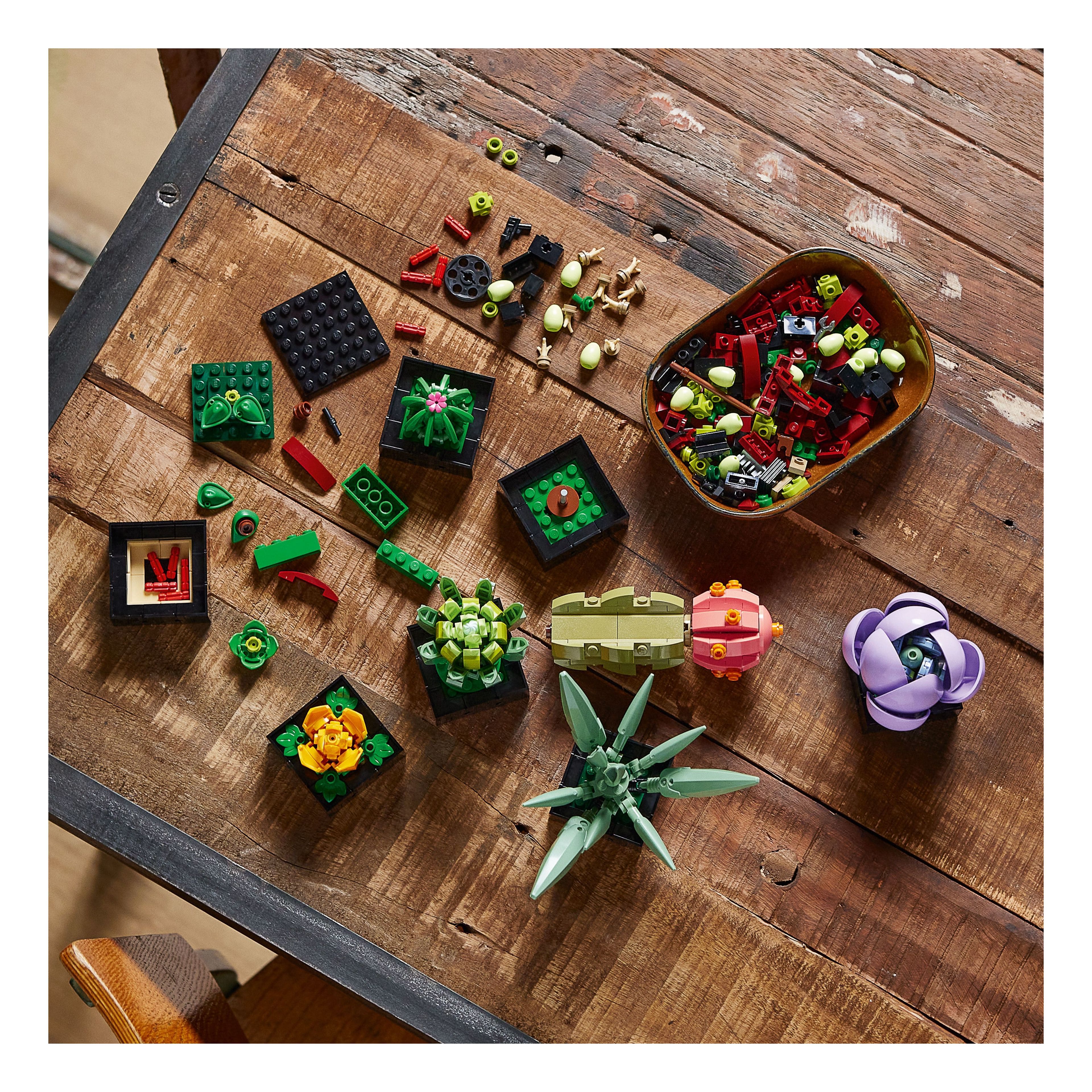 LEGO® Botanicals™ Succulents
