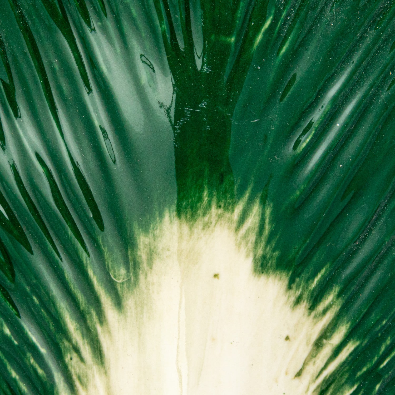 Hello Honey® 7.75" Green & White Embossed Stoneware Cabbage Shaped Wall Vase Planter