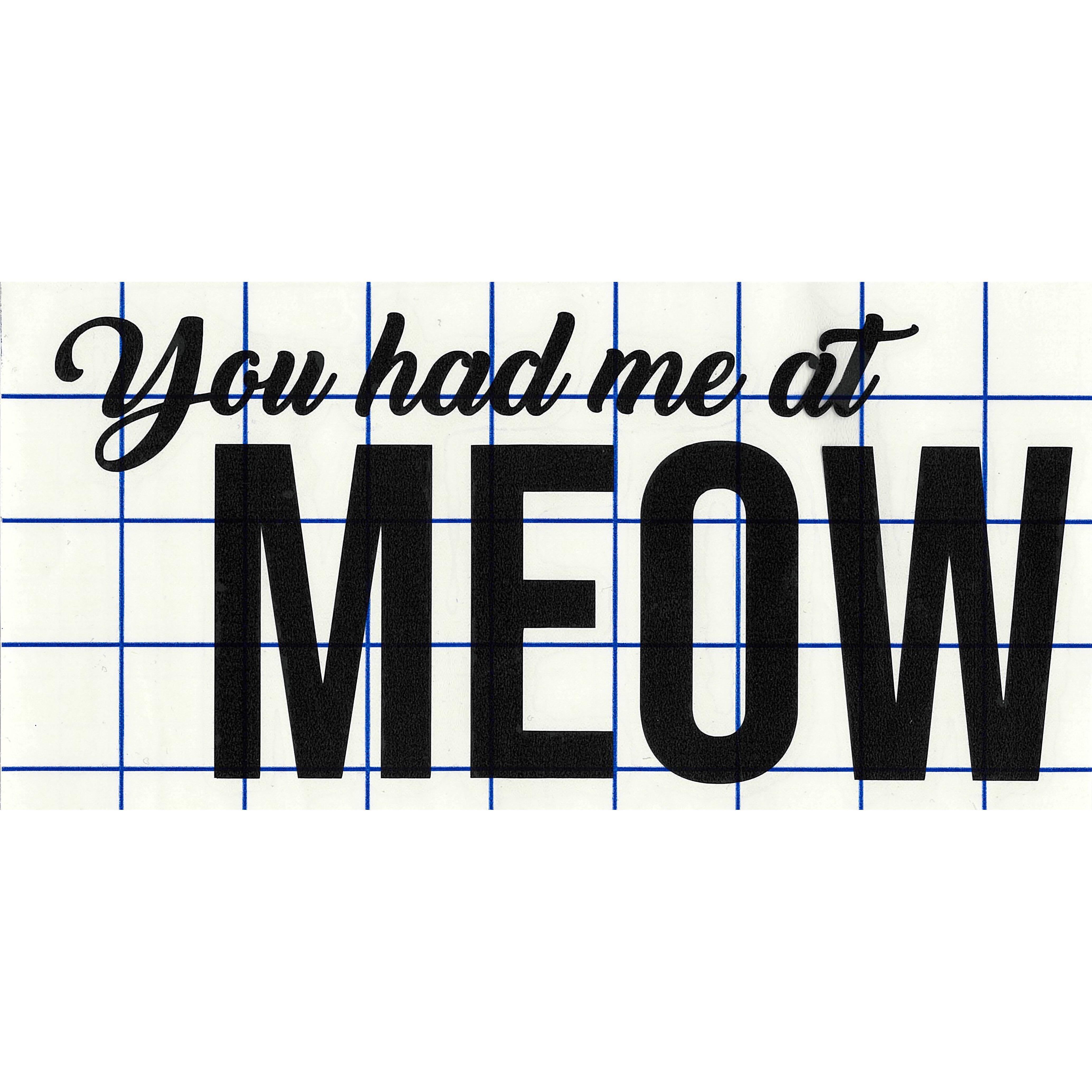 Leisure Arts&#xAE; Vinyl Matte Black You Had Me at Meow Decal