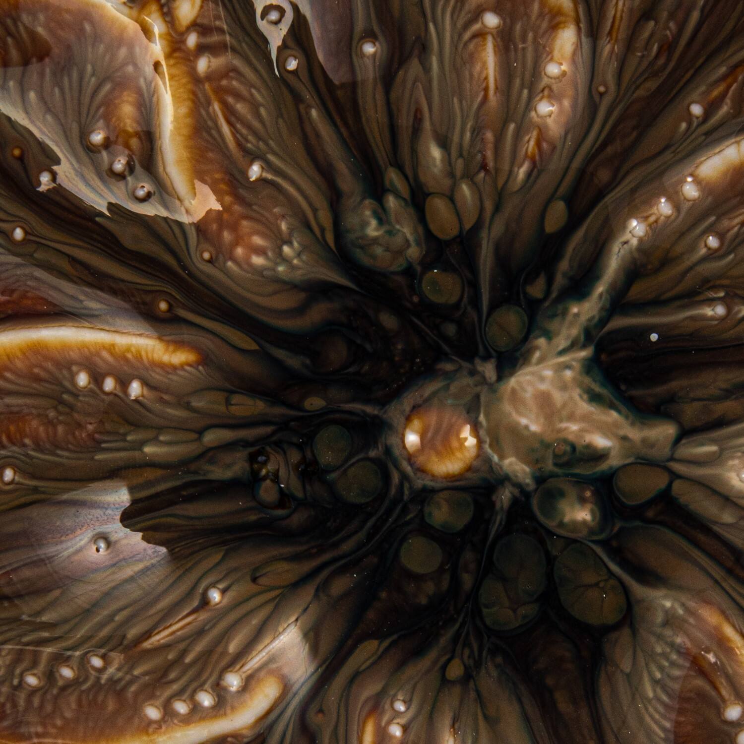 Hello Honey&#xAE; 5&#x22; Multicolor Rustic Glaze Stoneware Flower Plate, 12ct.