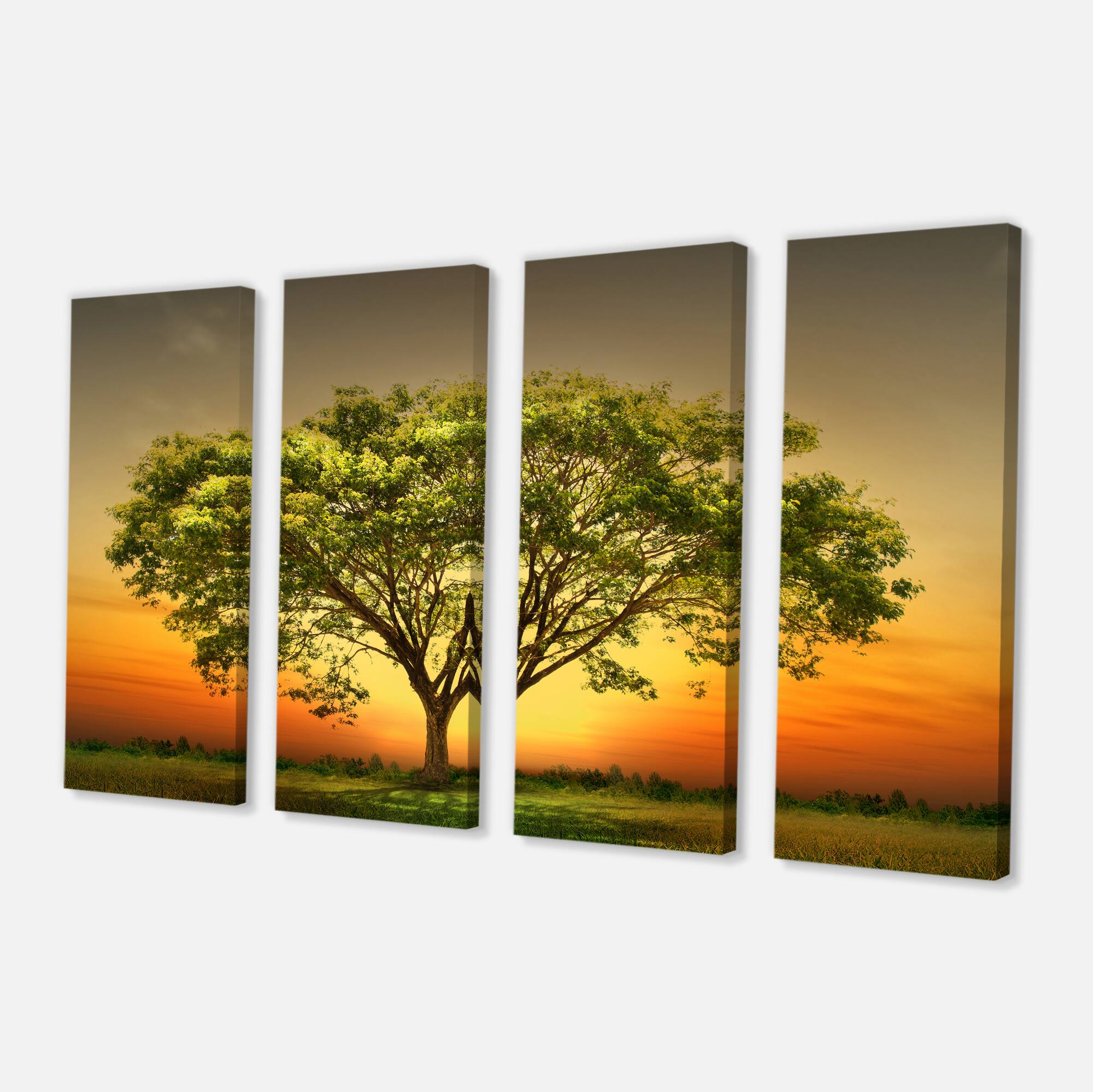 Designart - Green Tree against Setting Sun - Trees Canvas Art Print