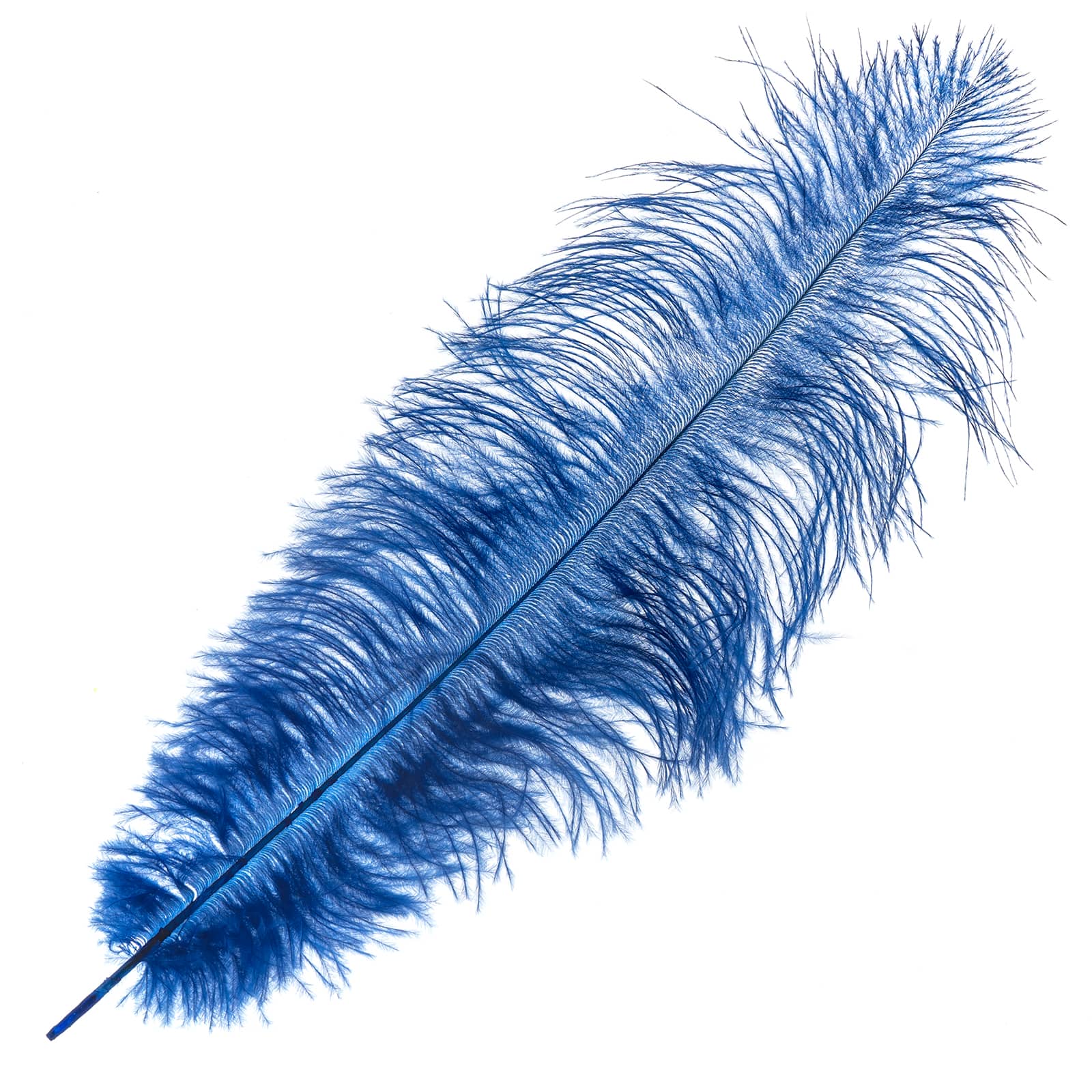 John Bead 11&#x22;-13&#x22; Ostrich Drab Feather