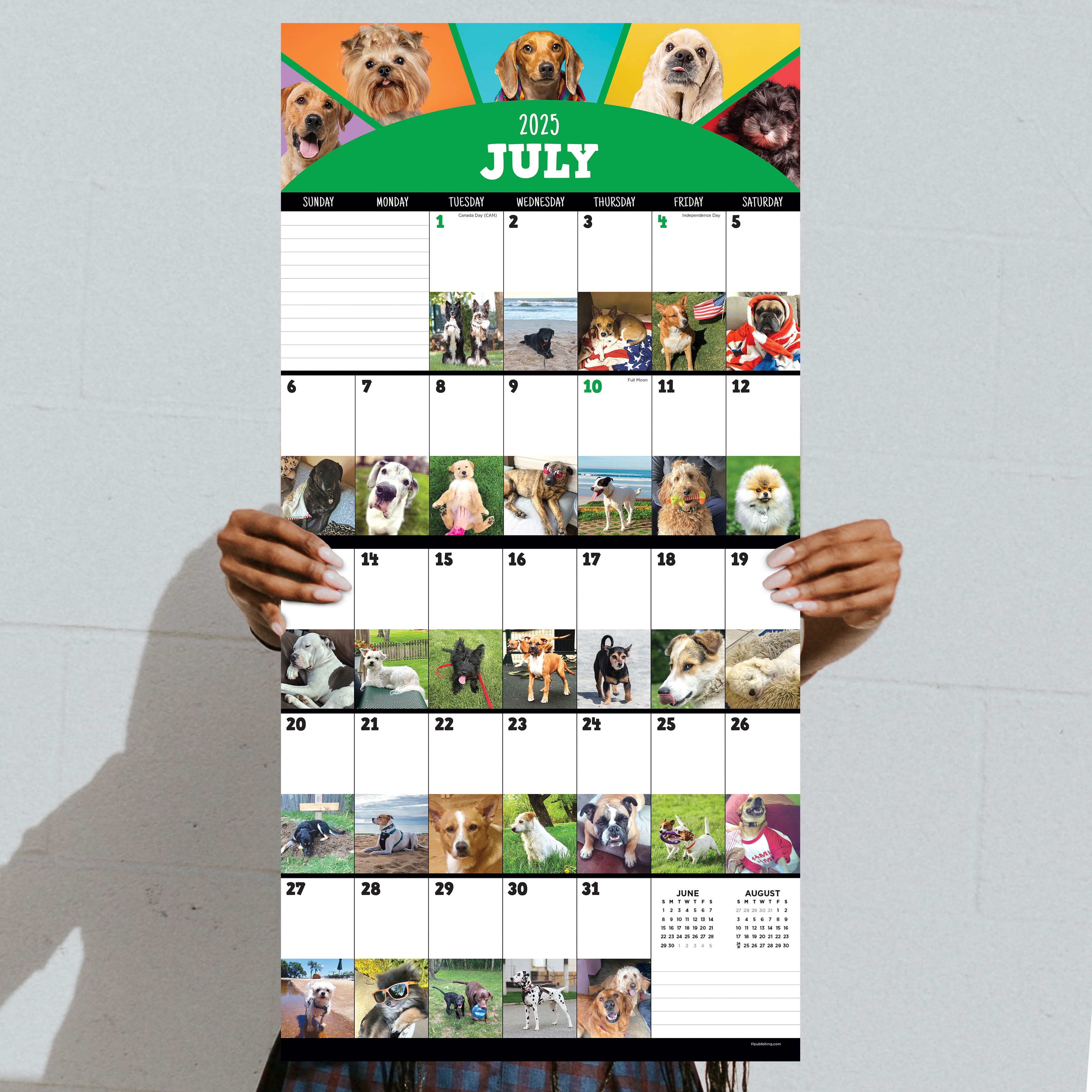 TF Publishing 2025 Dog-a-Day Wall Calendar