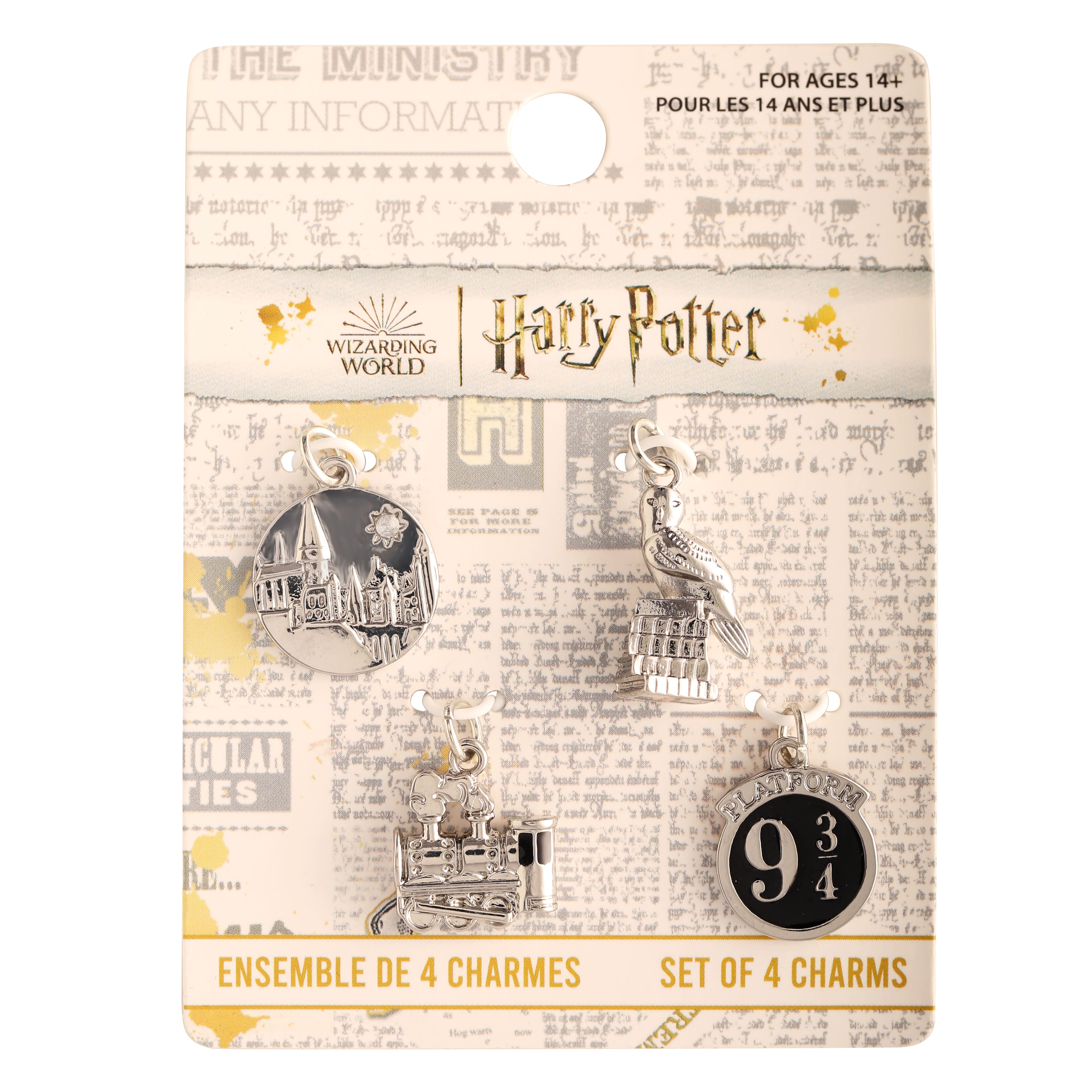 Harry Potter Silver Hogwarts Charm Set