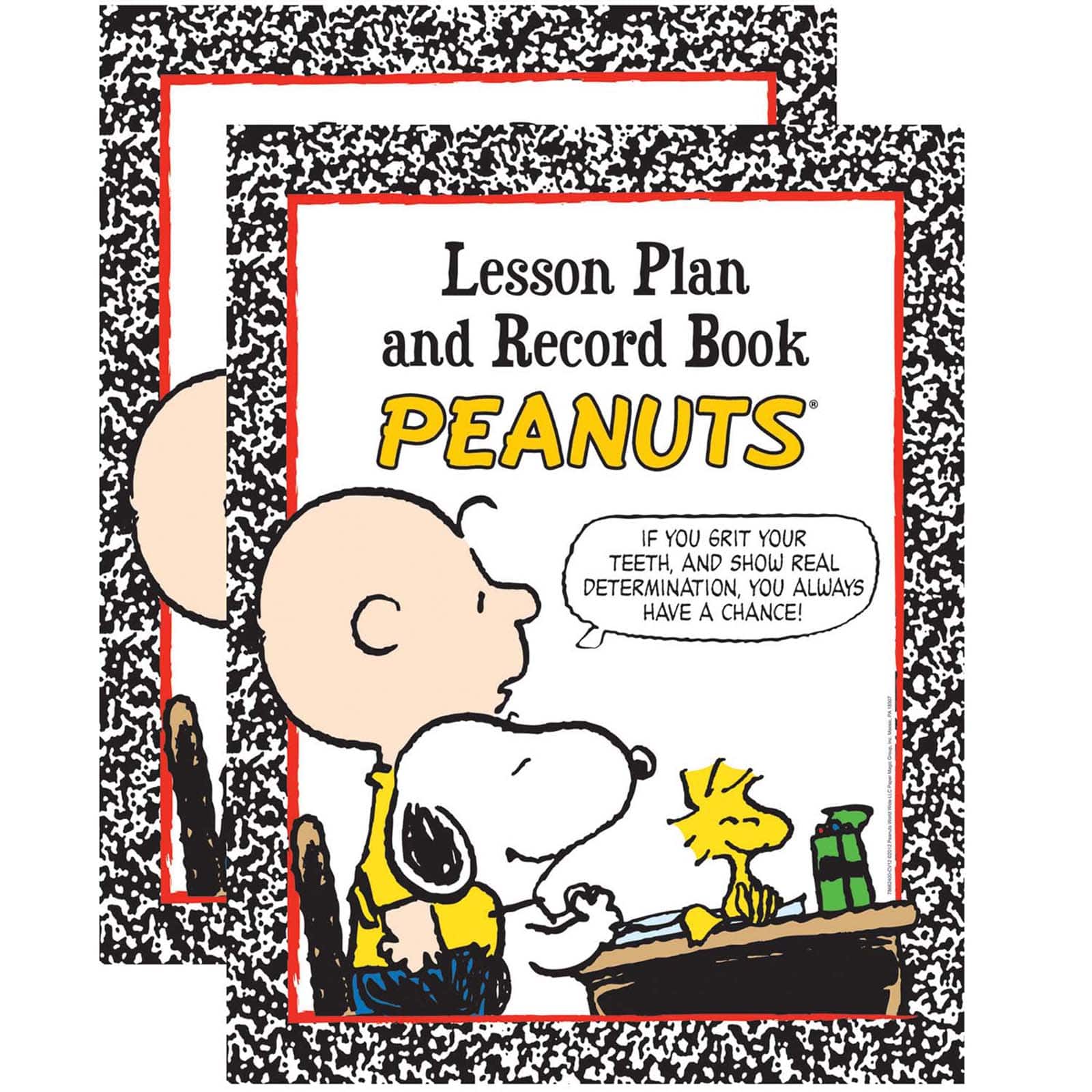 Eureka® Peanuts® Lesson Plan & Record Book, 2 ct.