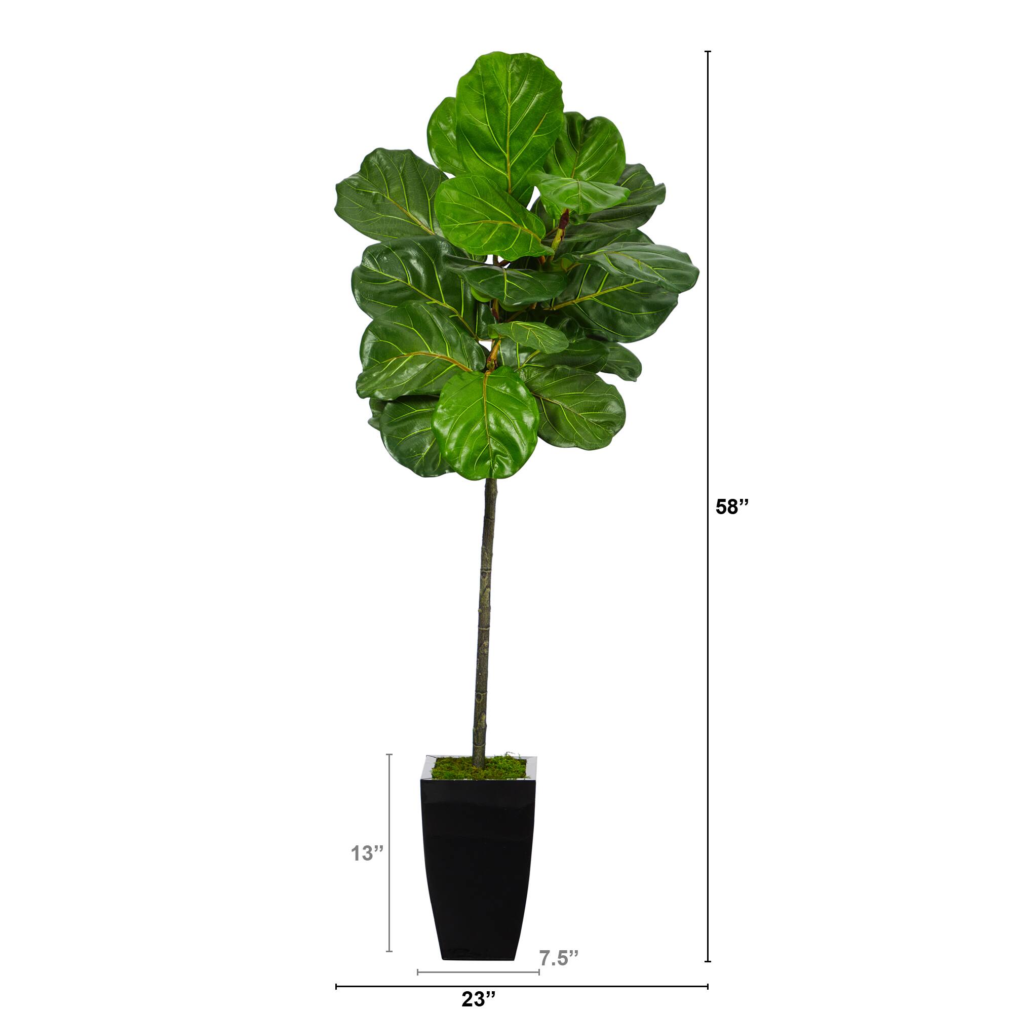 4.5ft. Fiddle Leaf Tree in Black Metal Planter