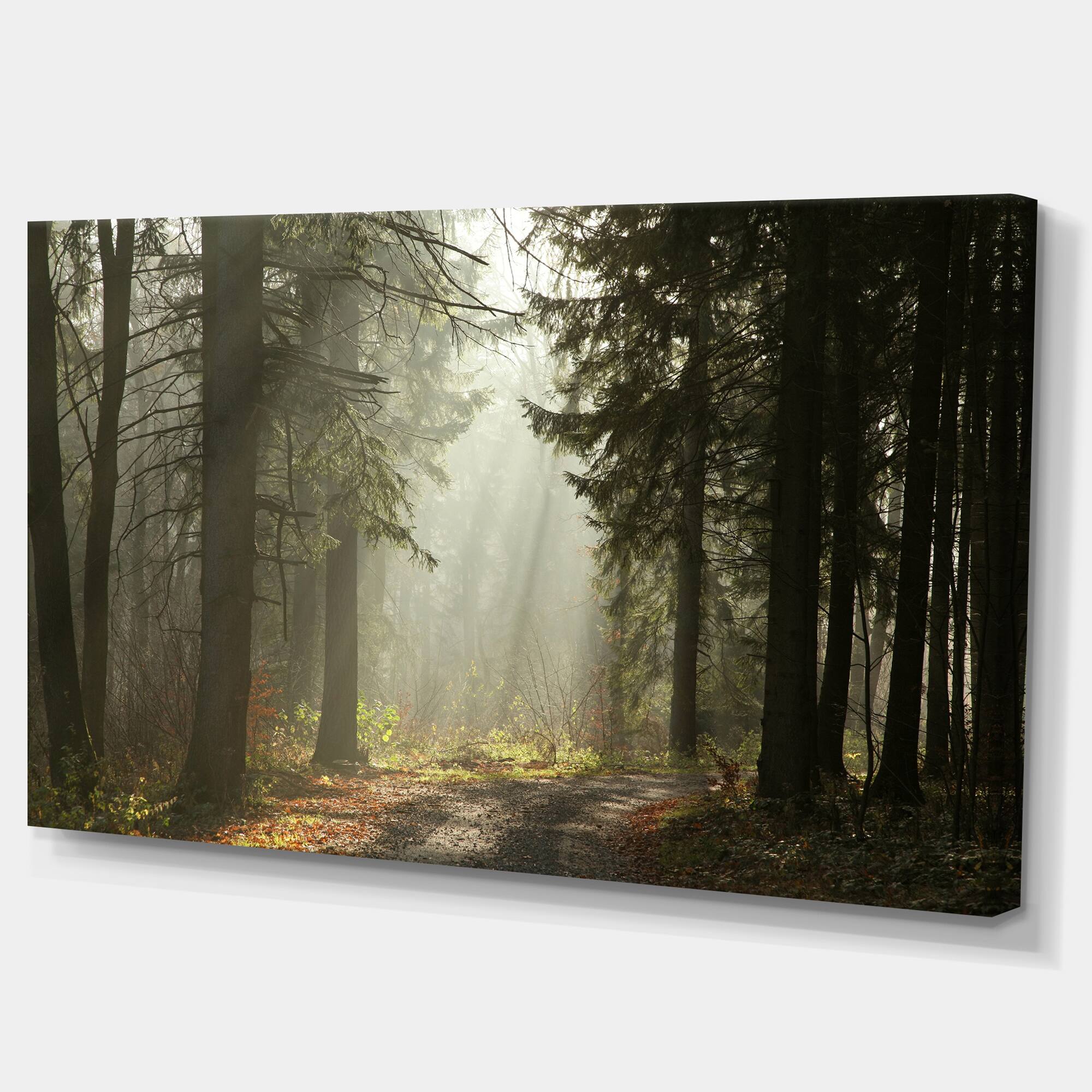 Designart - Dark Green Forest with Sun Rays - Landscape Photography Canvas Print