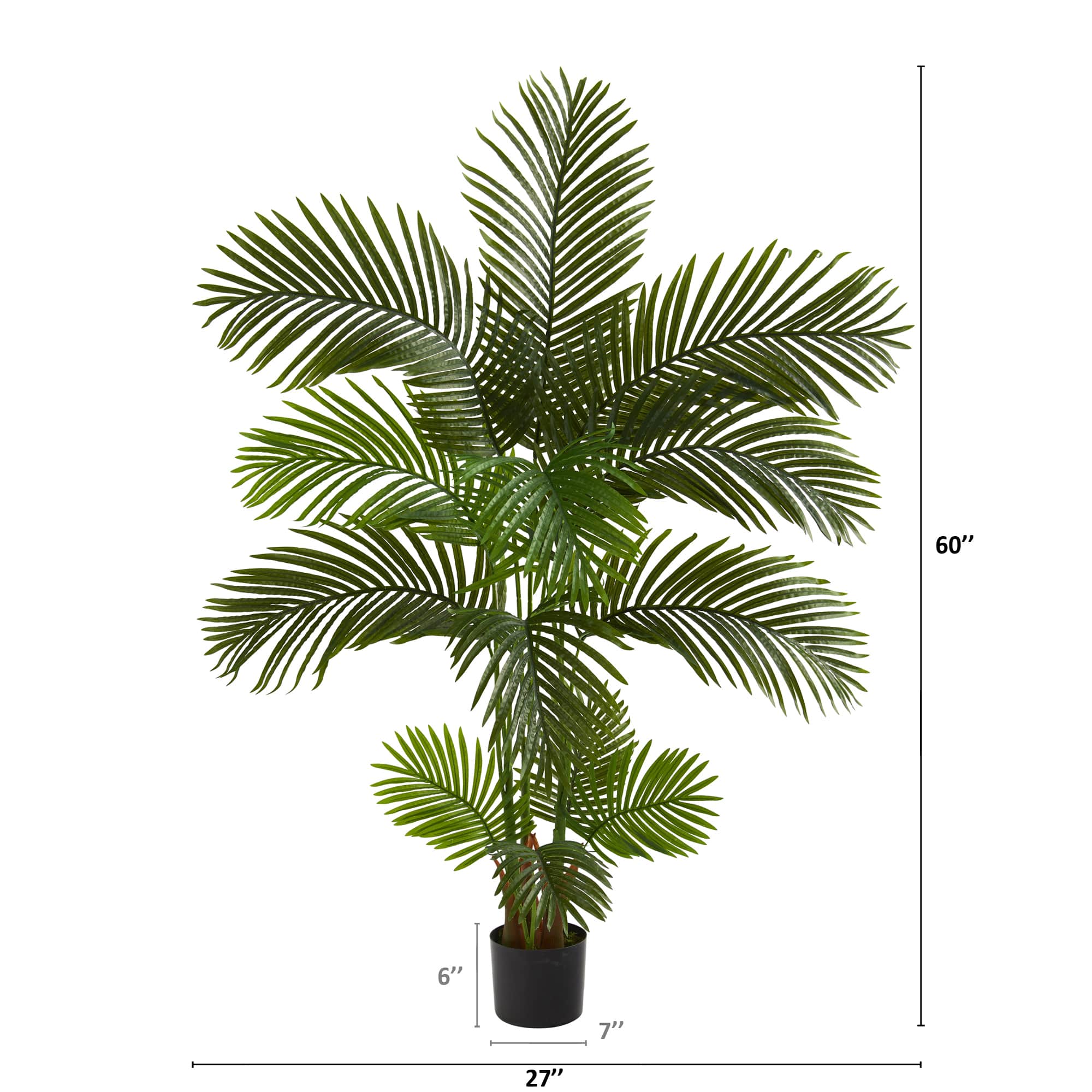 5ft. Potted Areca Palm Tree