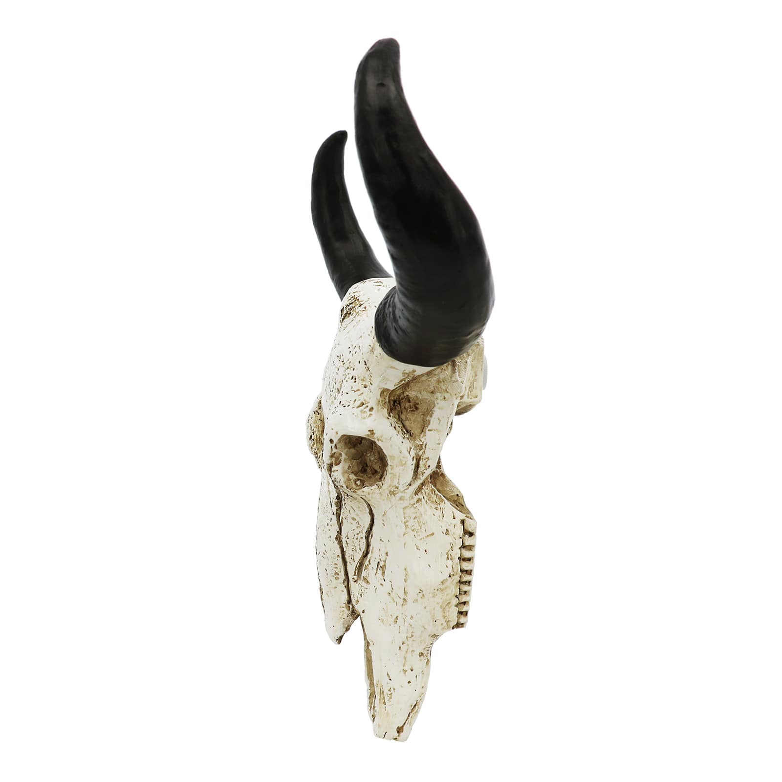 9&#x22; Cow Skull Tabletop D&#xE9;cor by Ashland&#xAE;