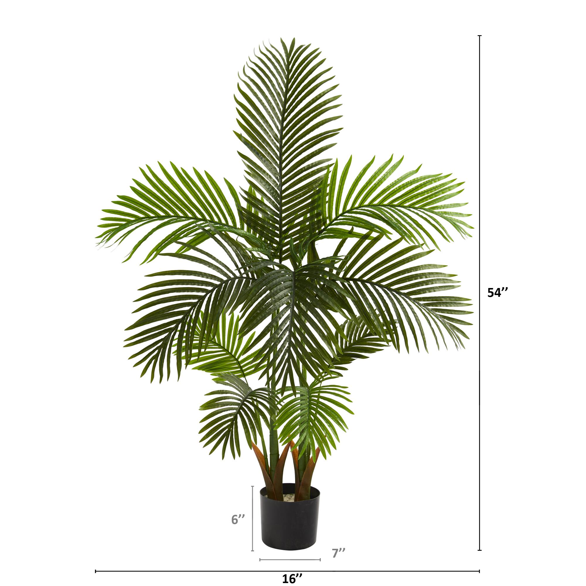 4.5ft. Potted Areca Palm Tree