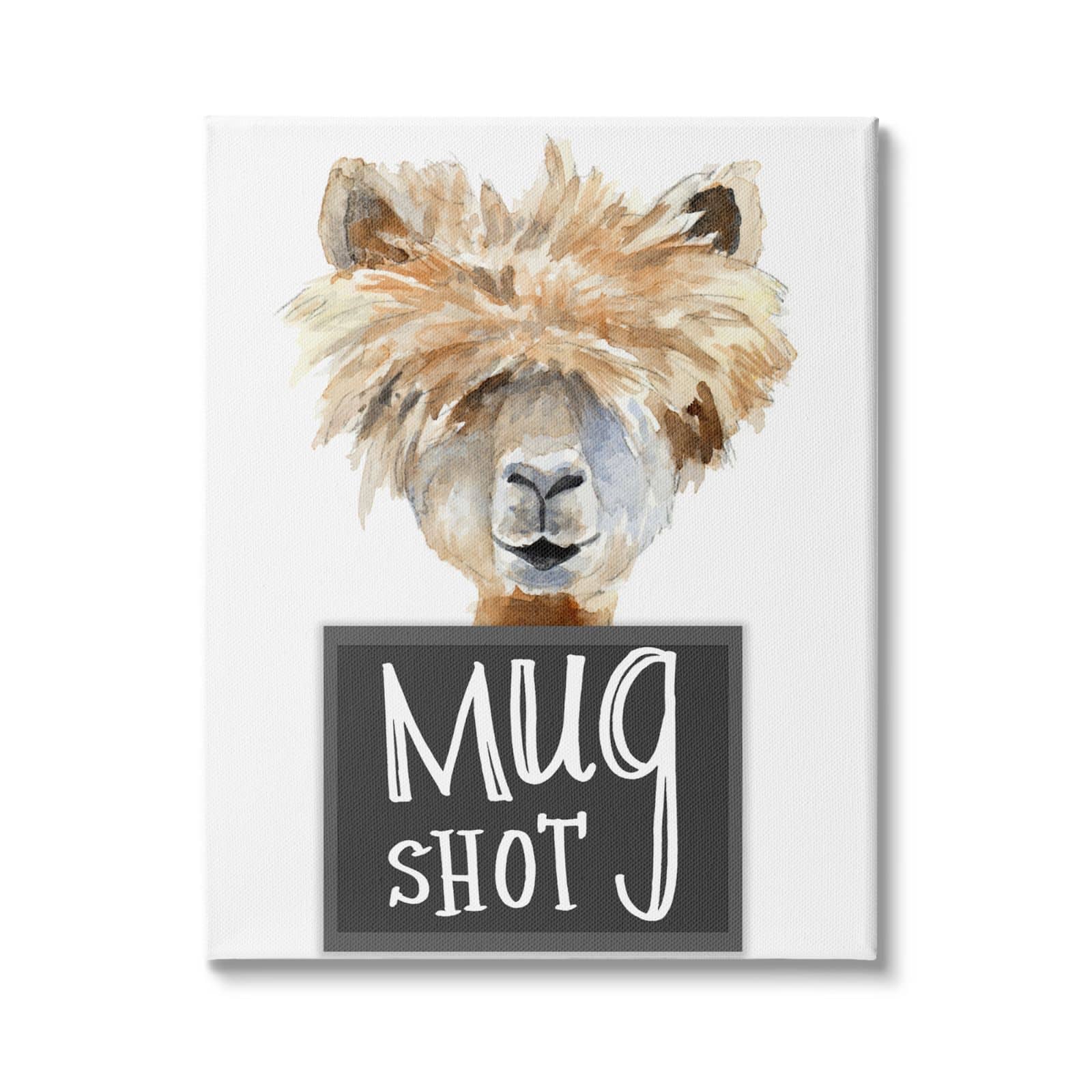 Stupell Industries Fluffy Hair Alpaca Animal Mugshot Funny Portrait Canvas Wall Art