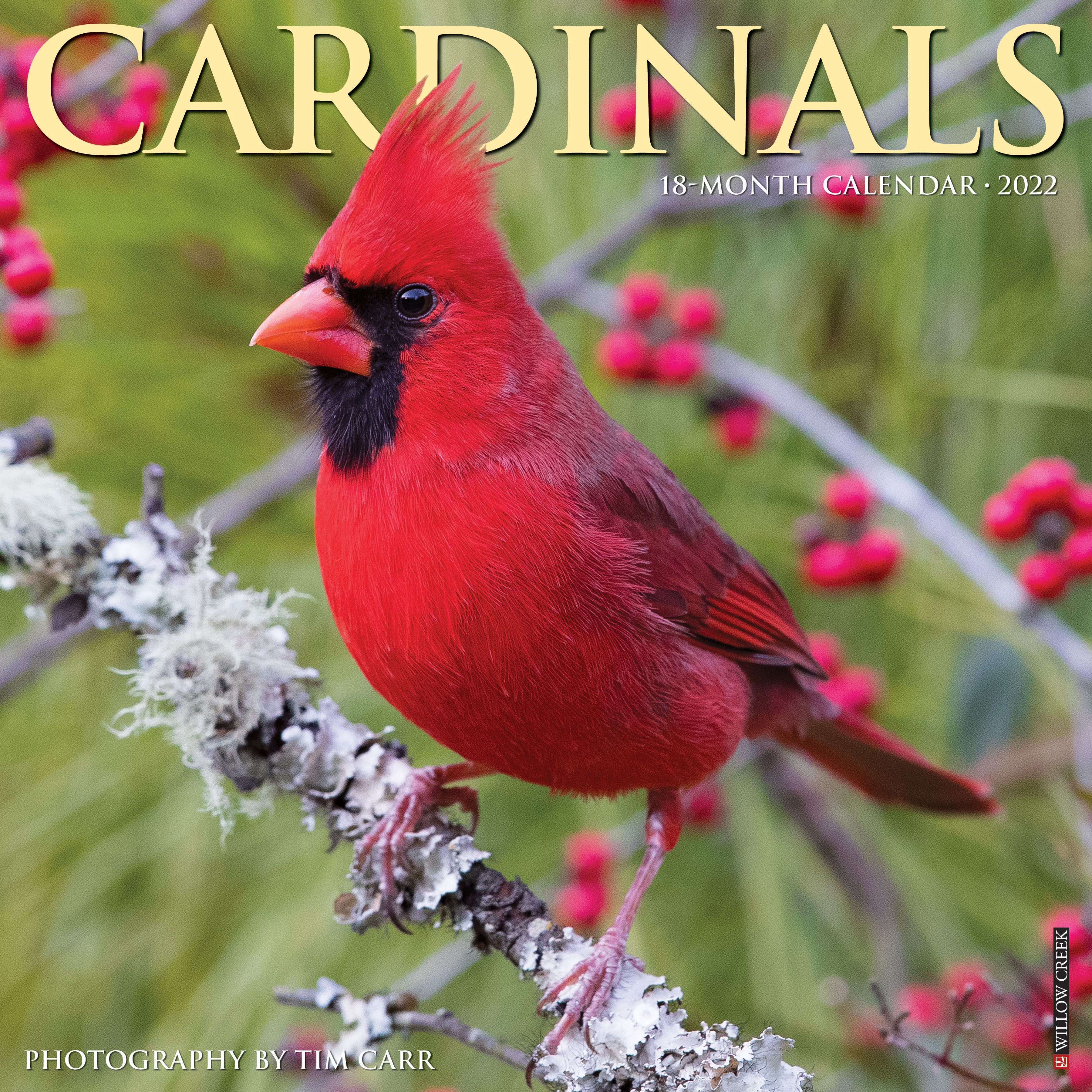 2022 Cardinals Wall Calendar | Michaels