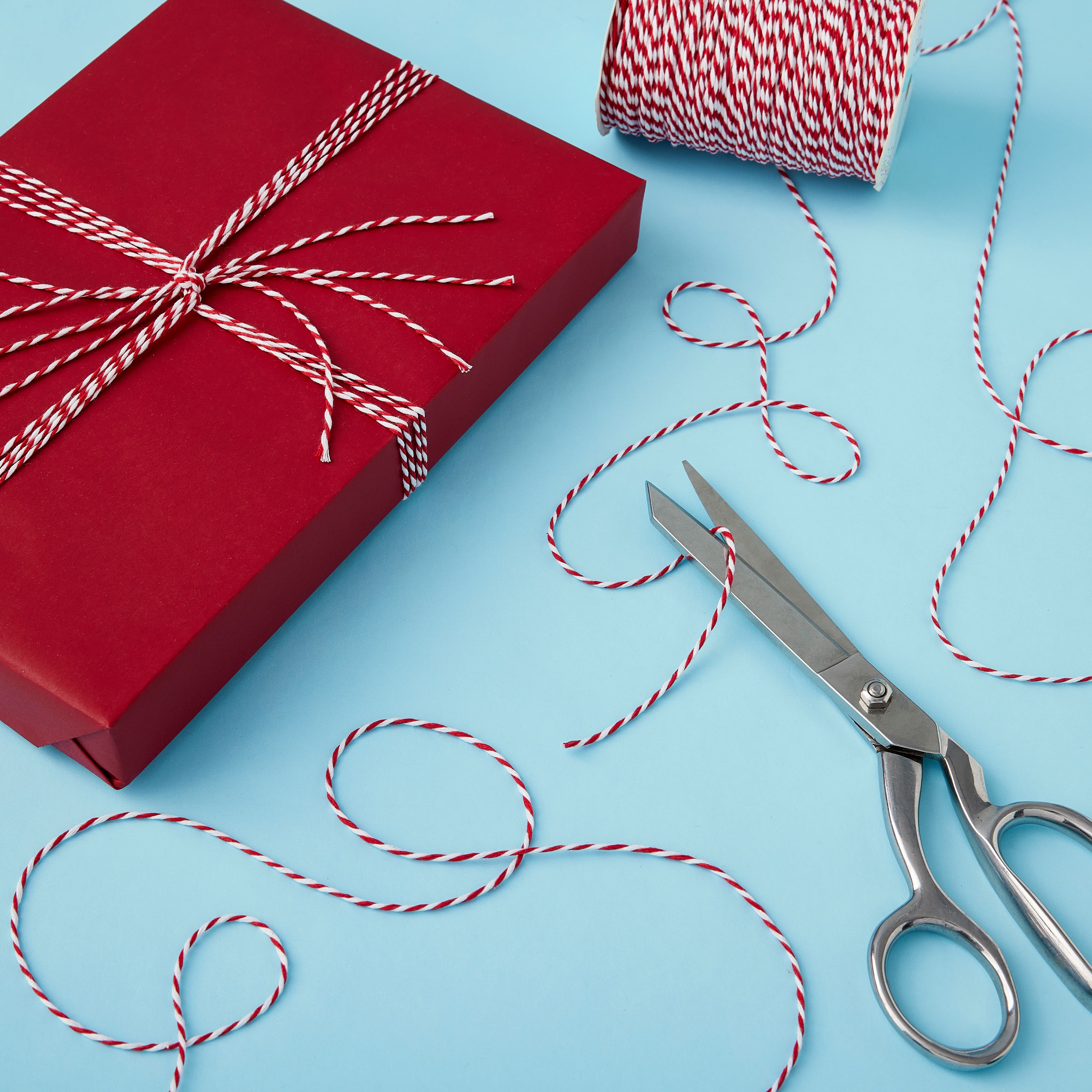 12 Pack: 100yd. Twine by Celebrate It&#x2122;