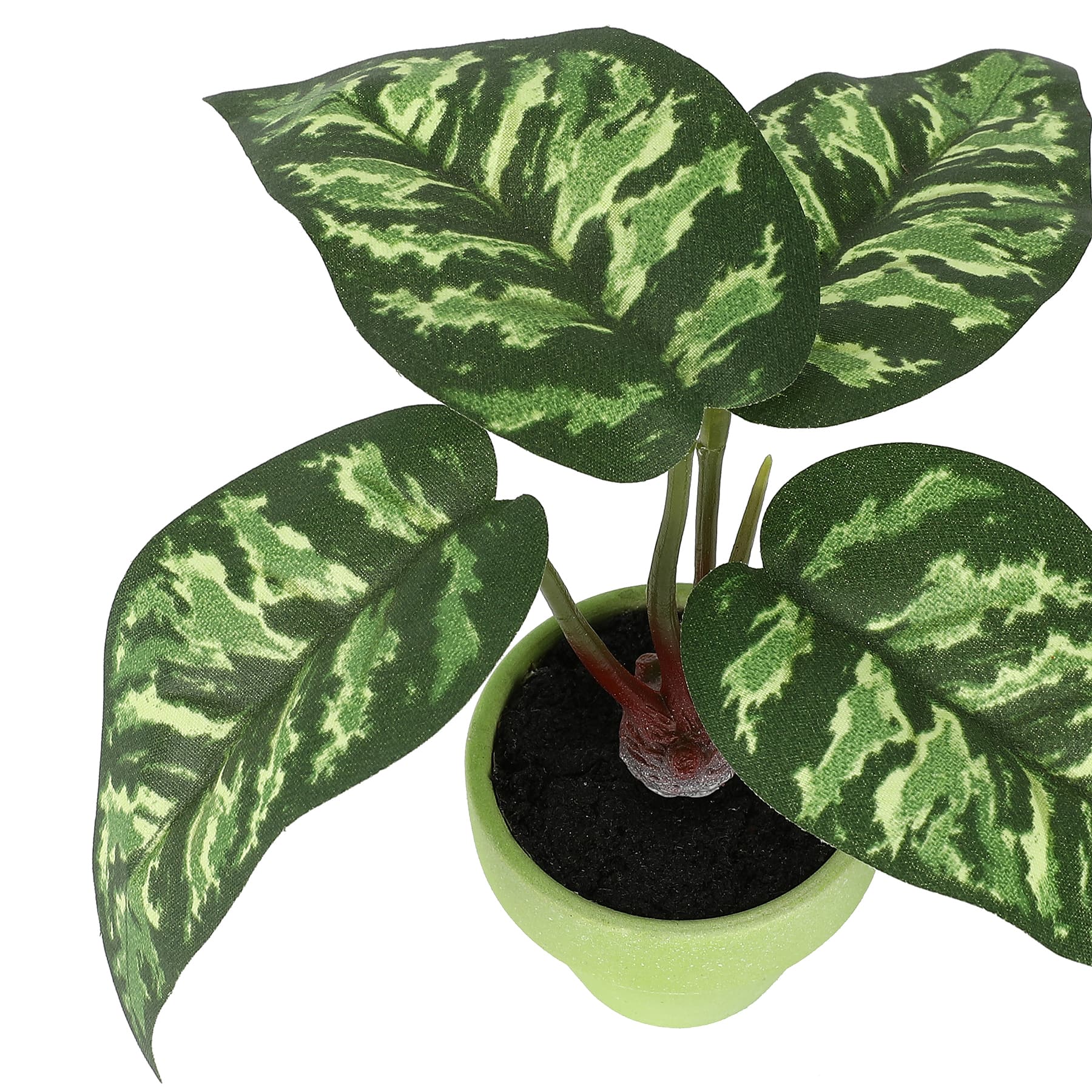4&#x22; Taro Leaves Plant in Green Pot by Ashland&#xAE;