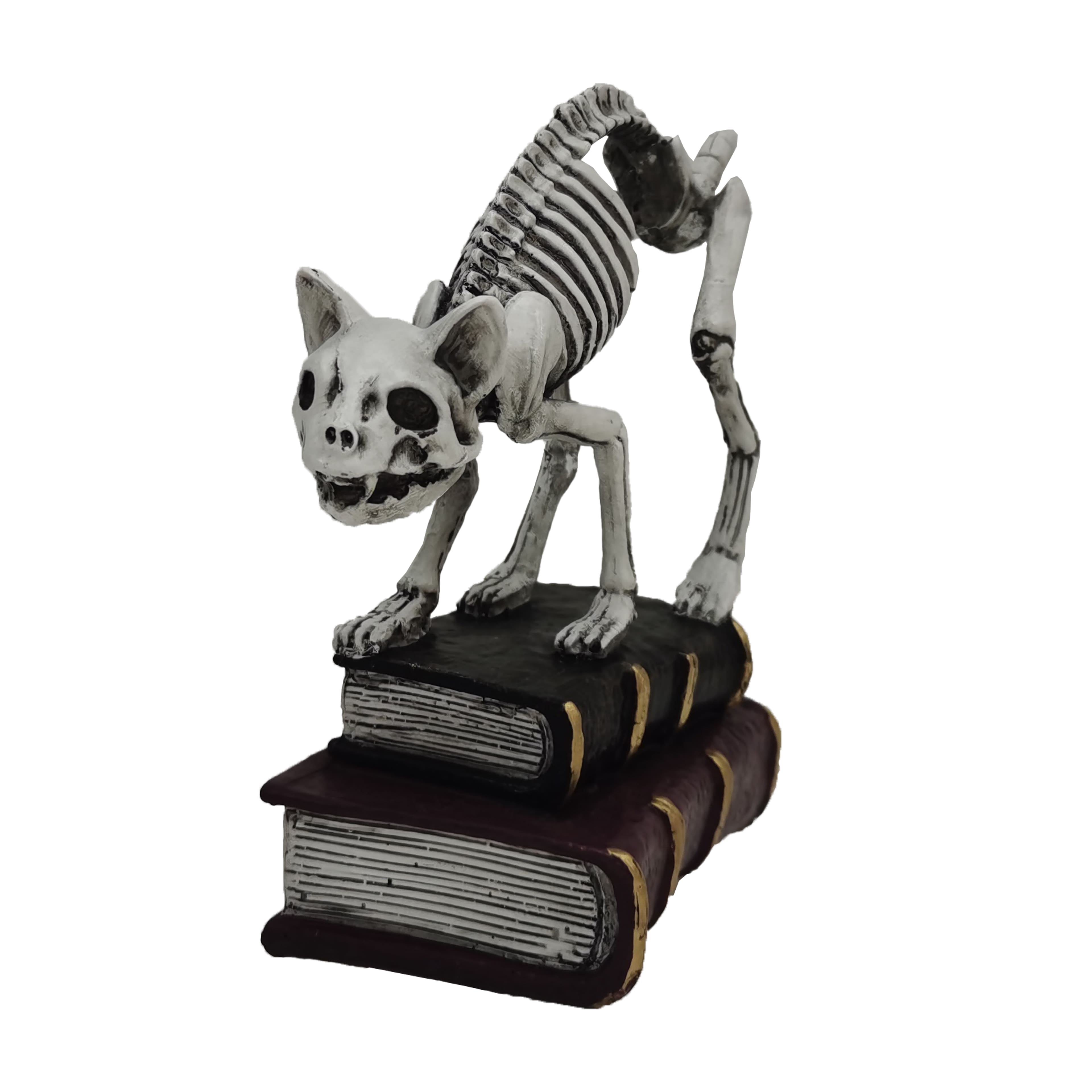 7&#x22; Skeleton Cat with Books Tabletop D&#xE9;cor by Ashland&#xAE;
