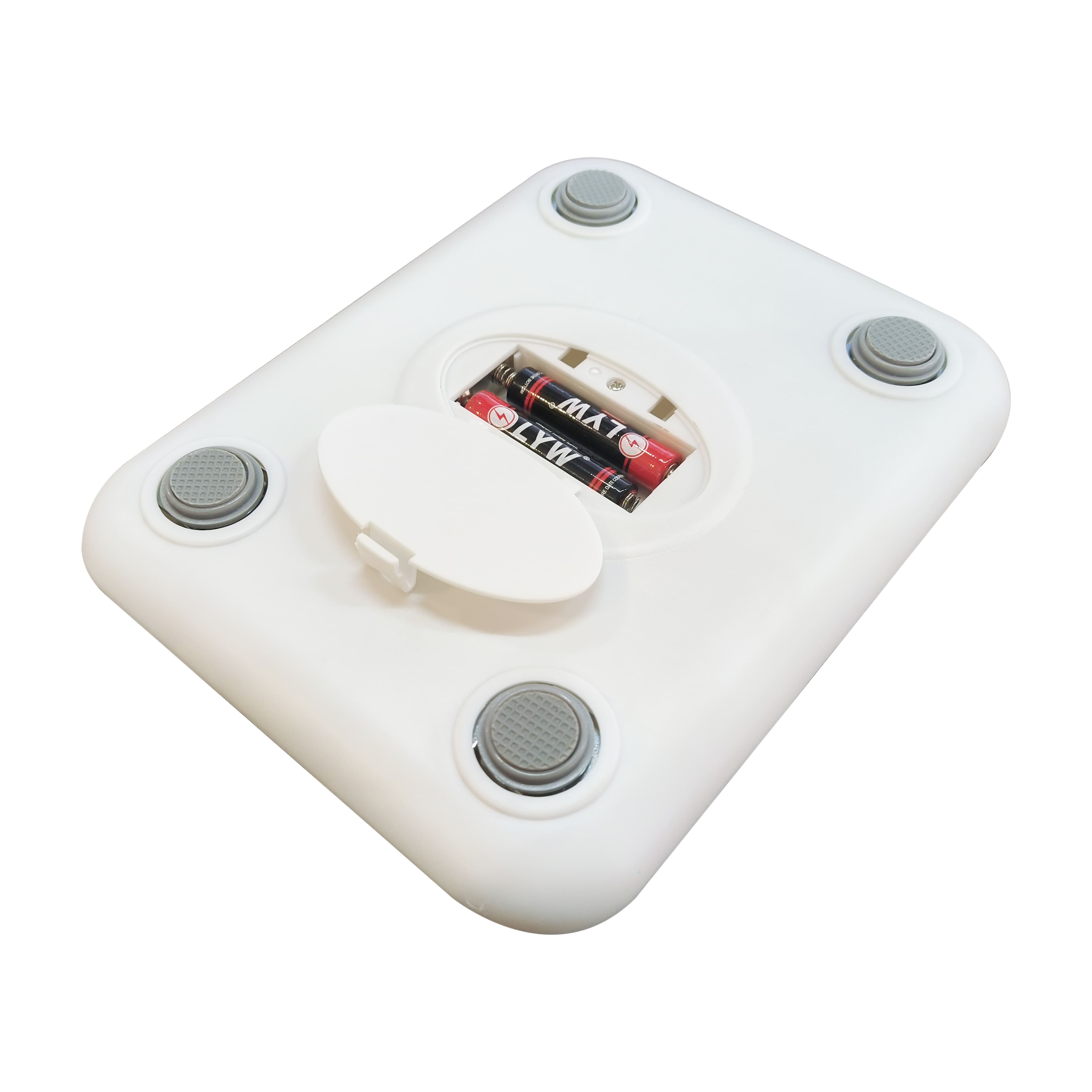 Balance de cuisine numérique de Celebrate It