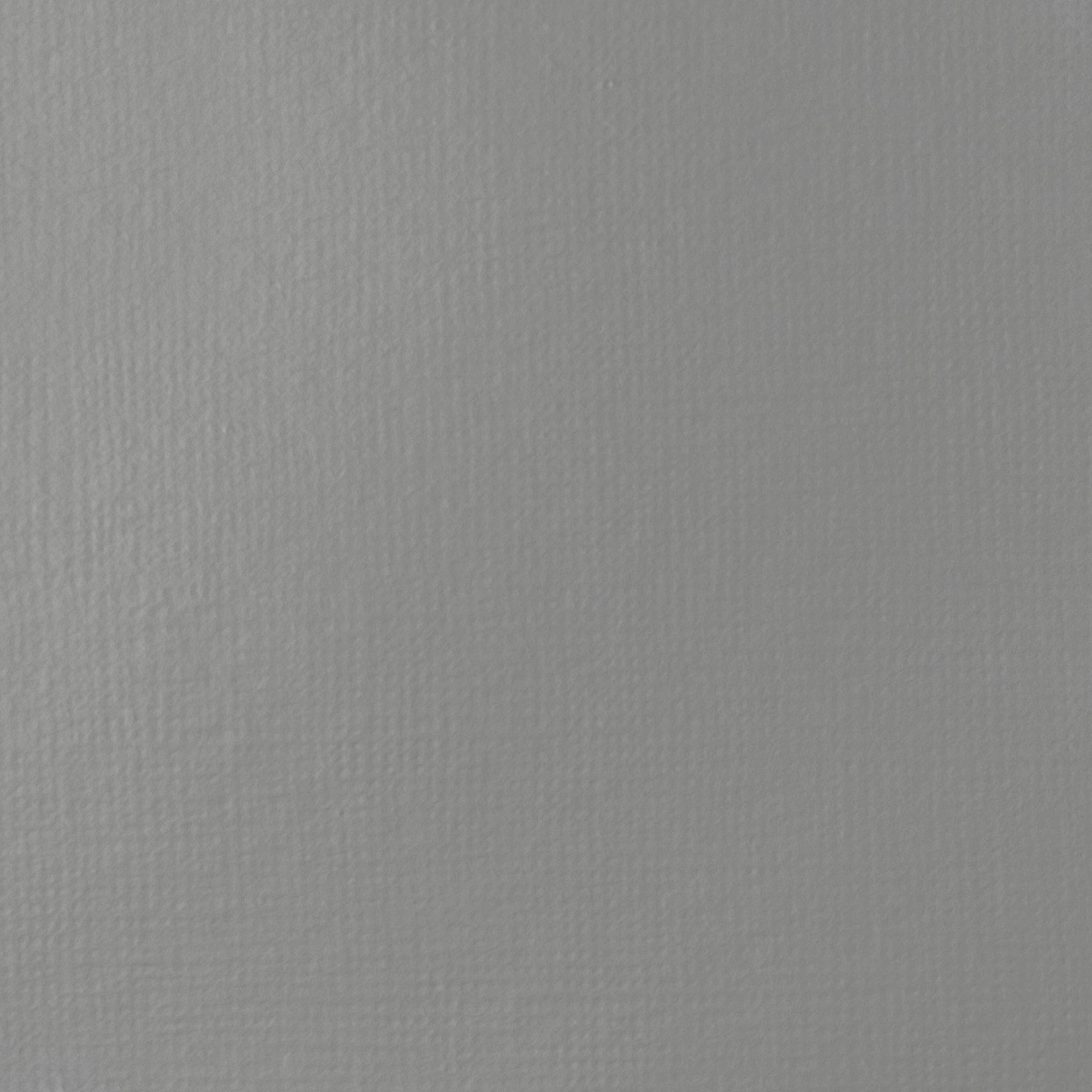 Peinture acrylique BASICS de Liquitex, 250 ml